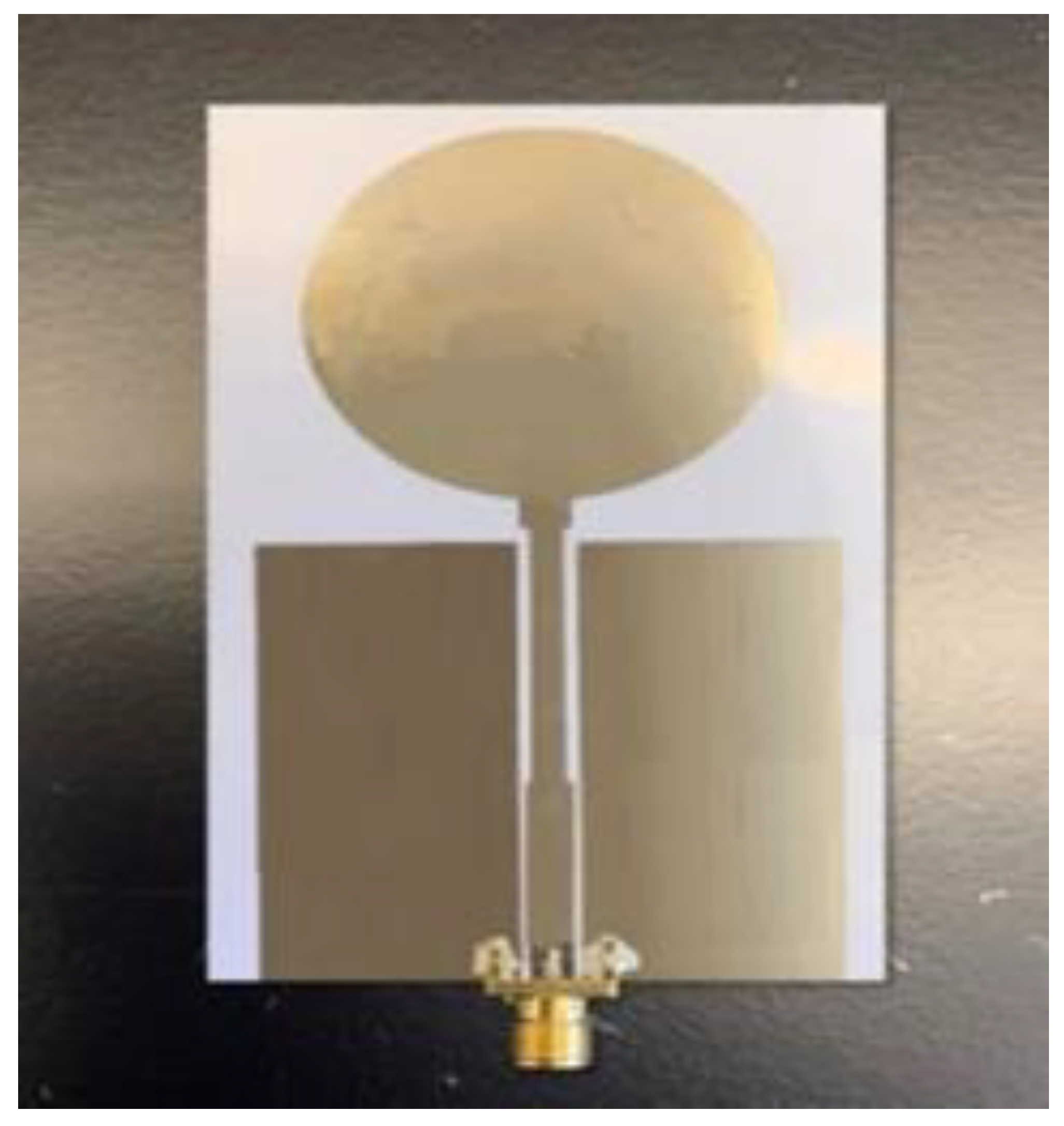 Preprints 106042 g002