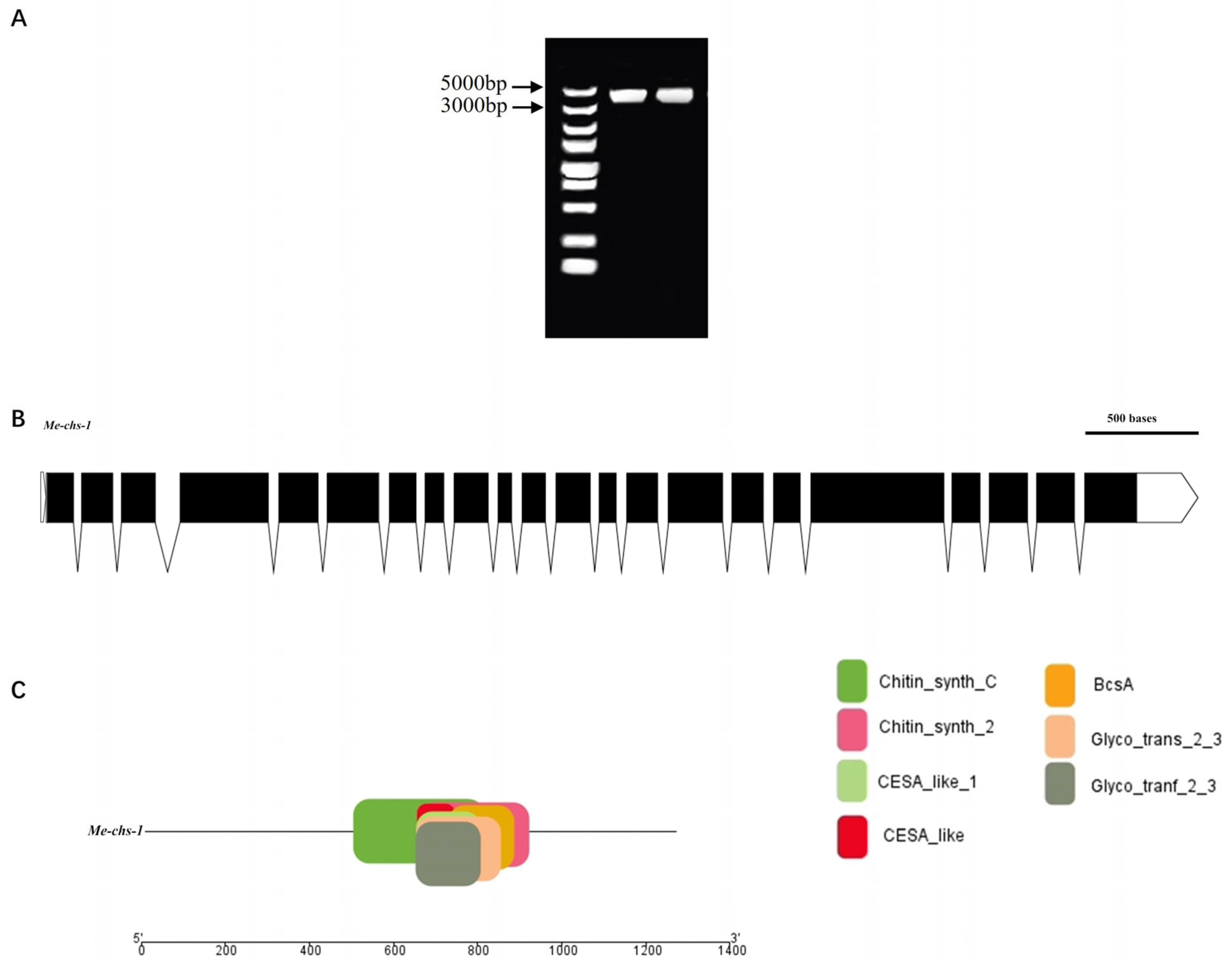 Preprints 164608 g001