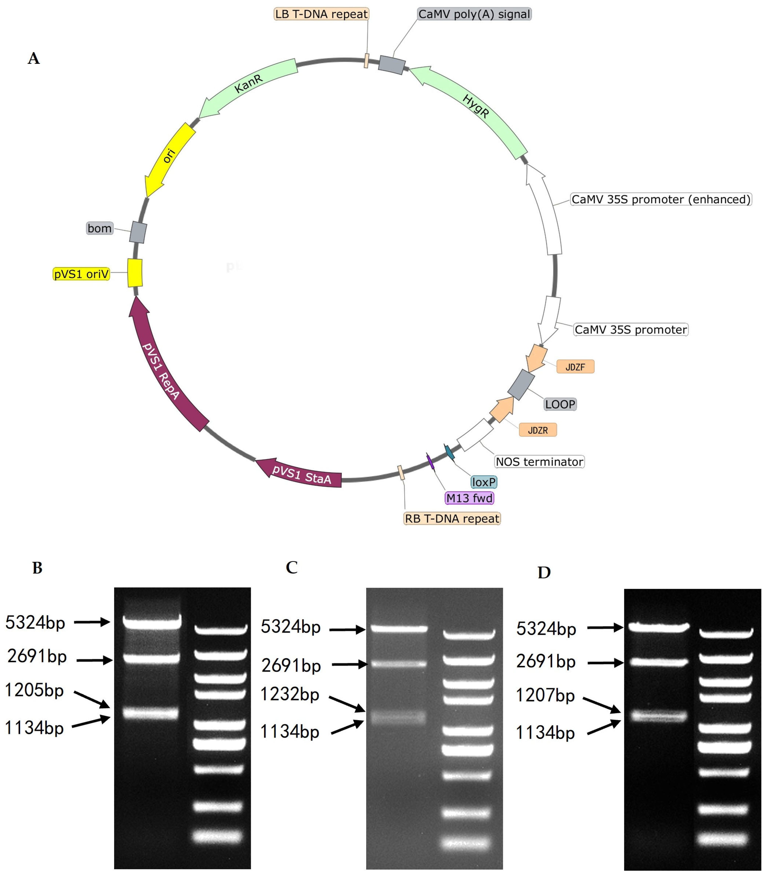 Preprints 164608 g003