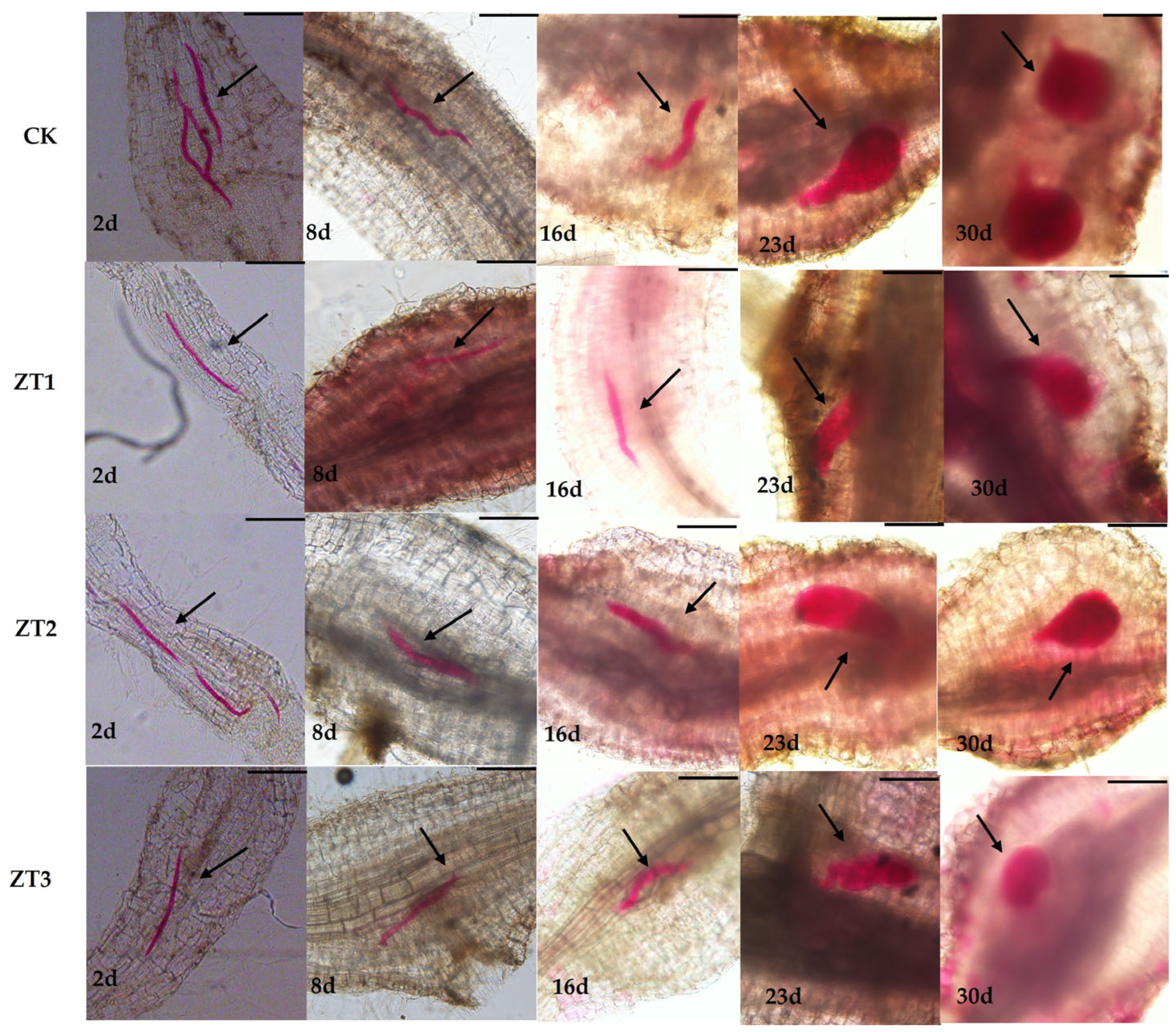 Preprints 164608 g006