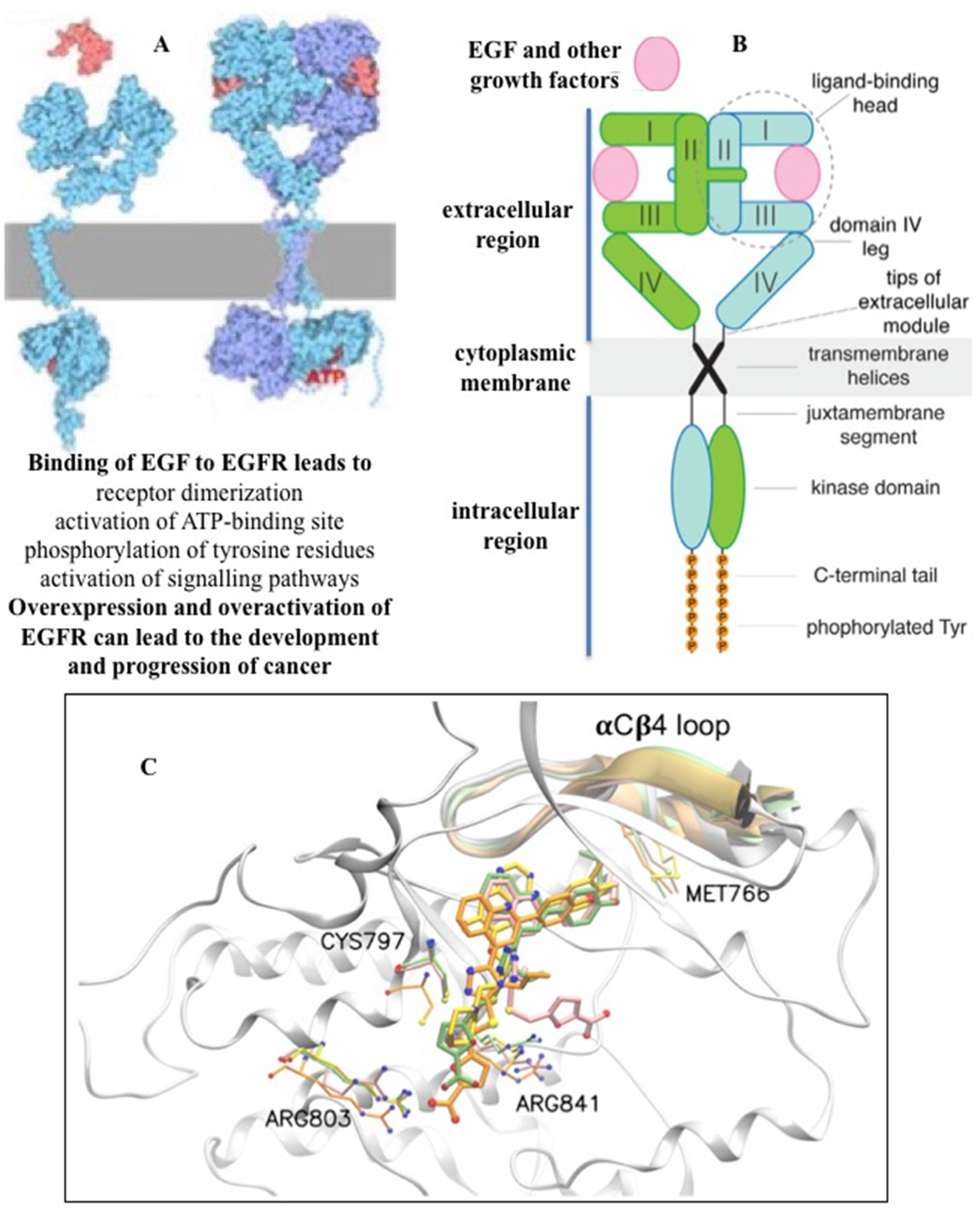 Preprints 78956 g001