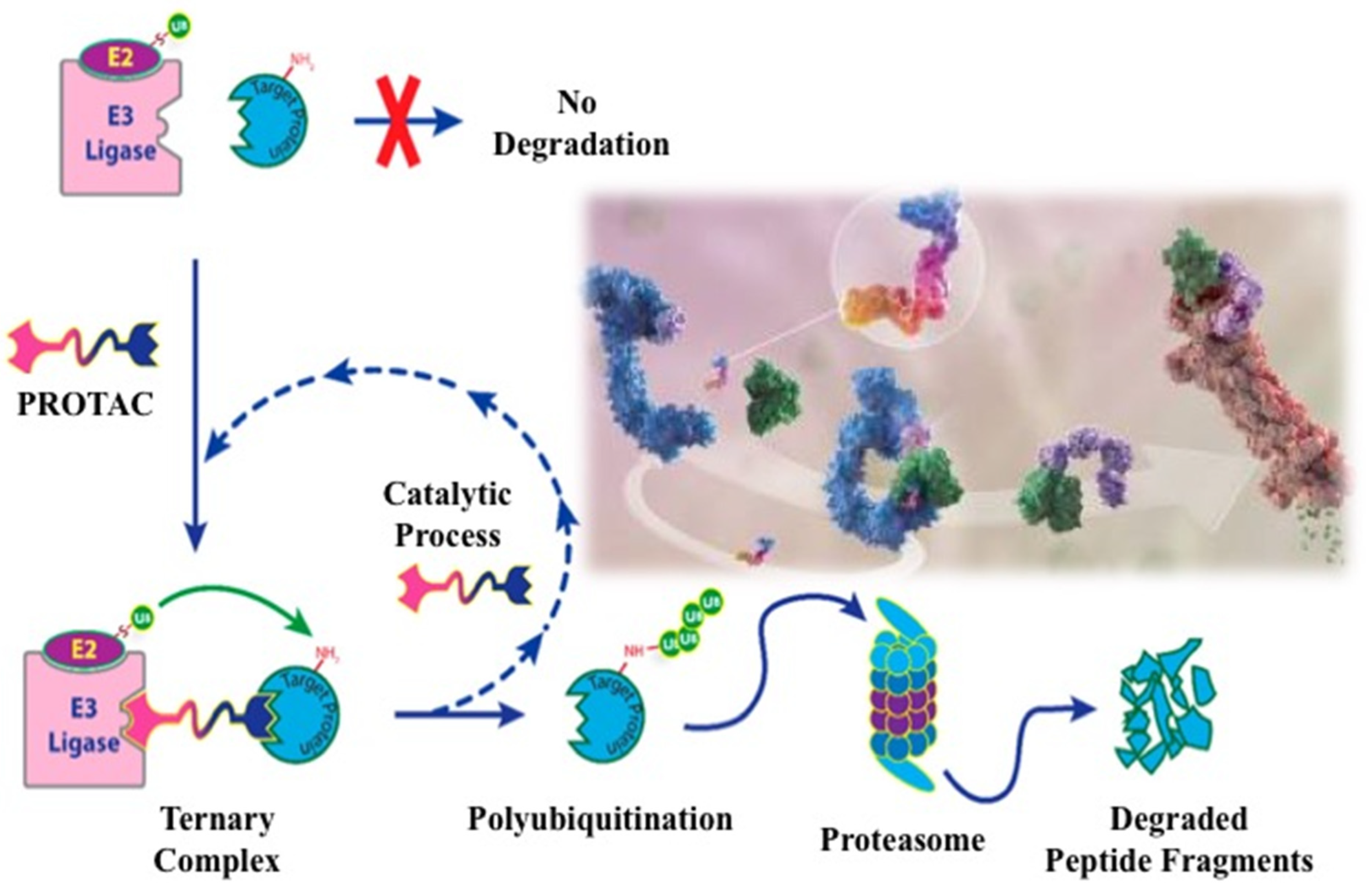 Preprints 78956 g002