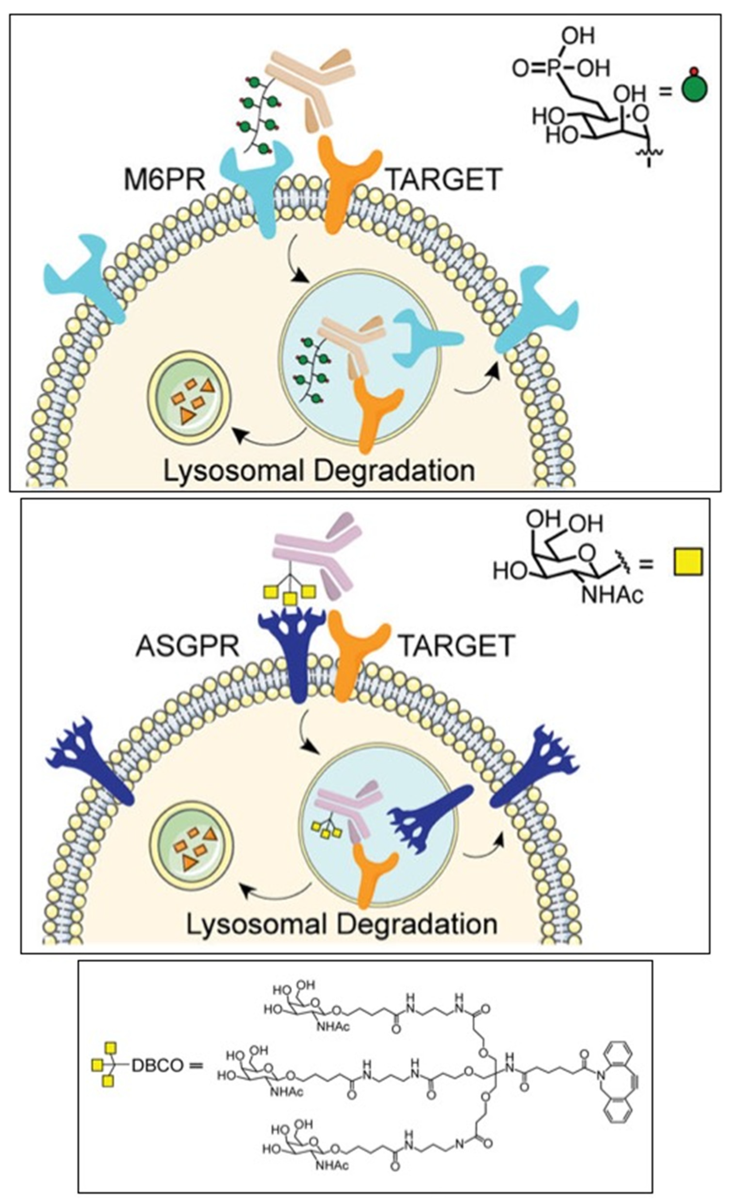 Preprints 78956 g003