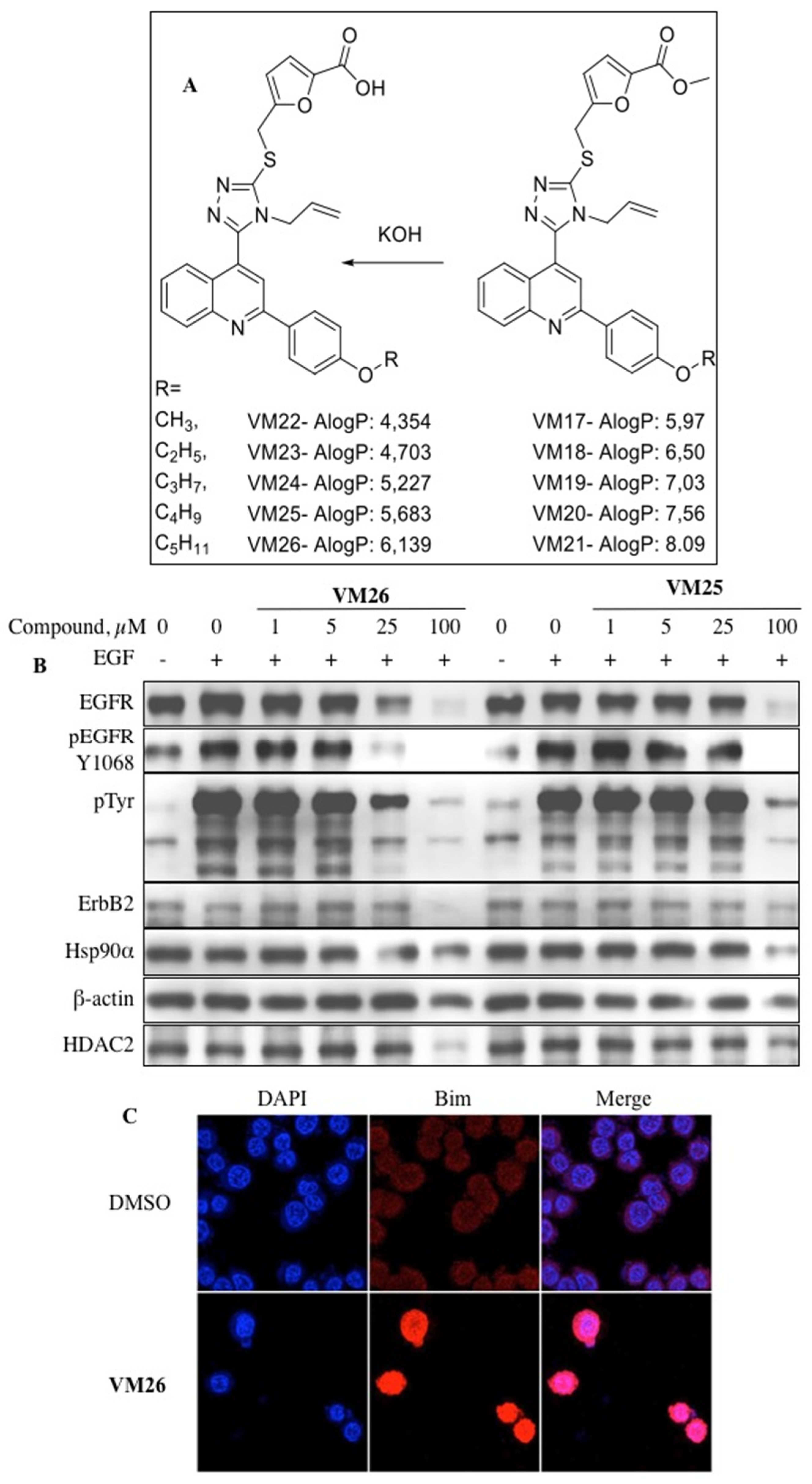 Preprints 78956 g004