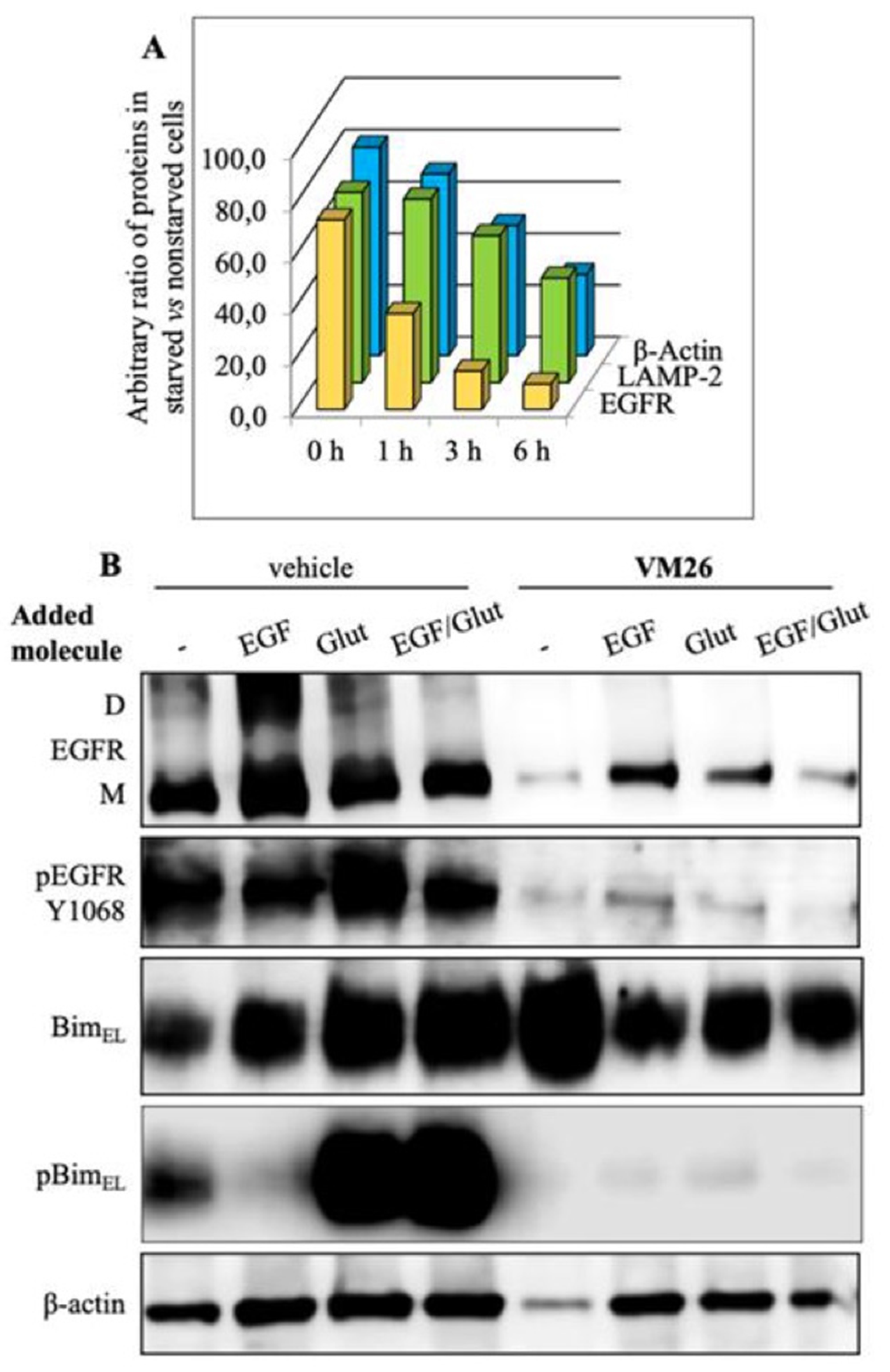 Preprints 78956 g005