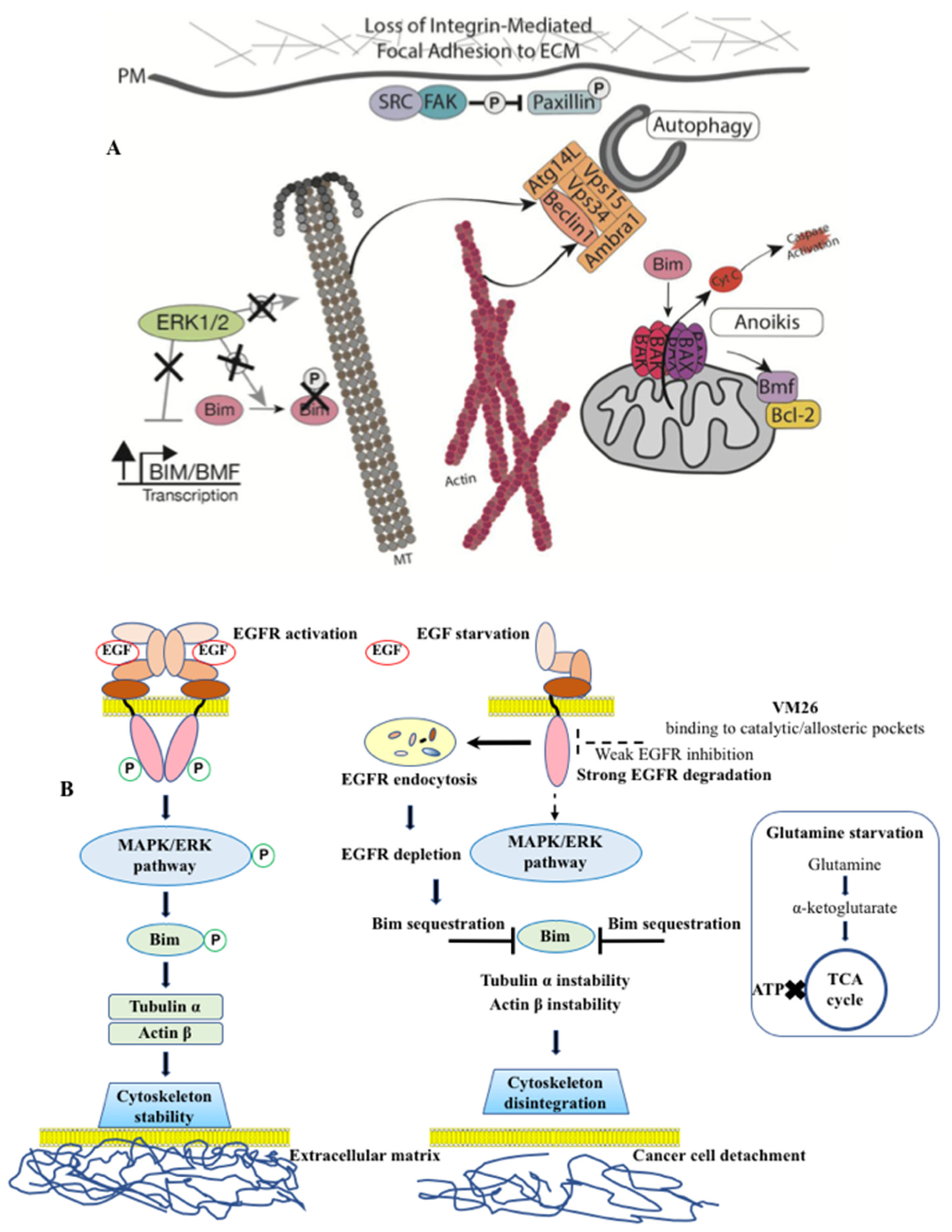 Preprints 78956 g006