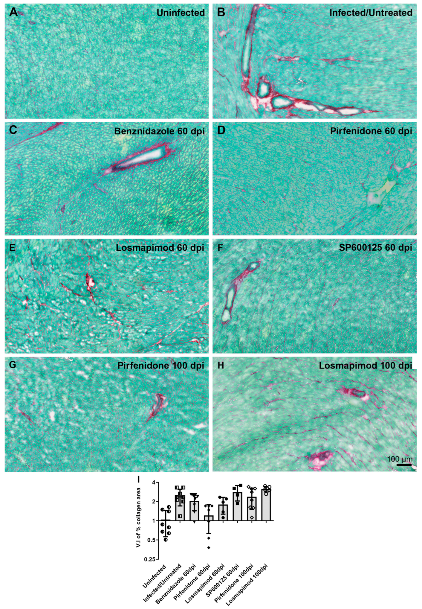 Preprints 90846 g008