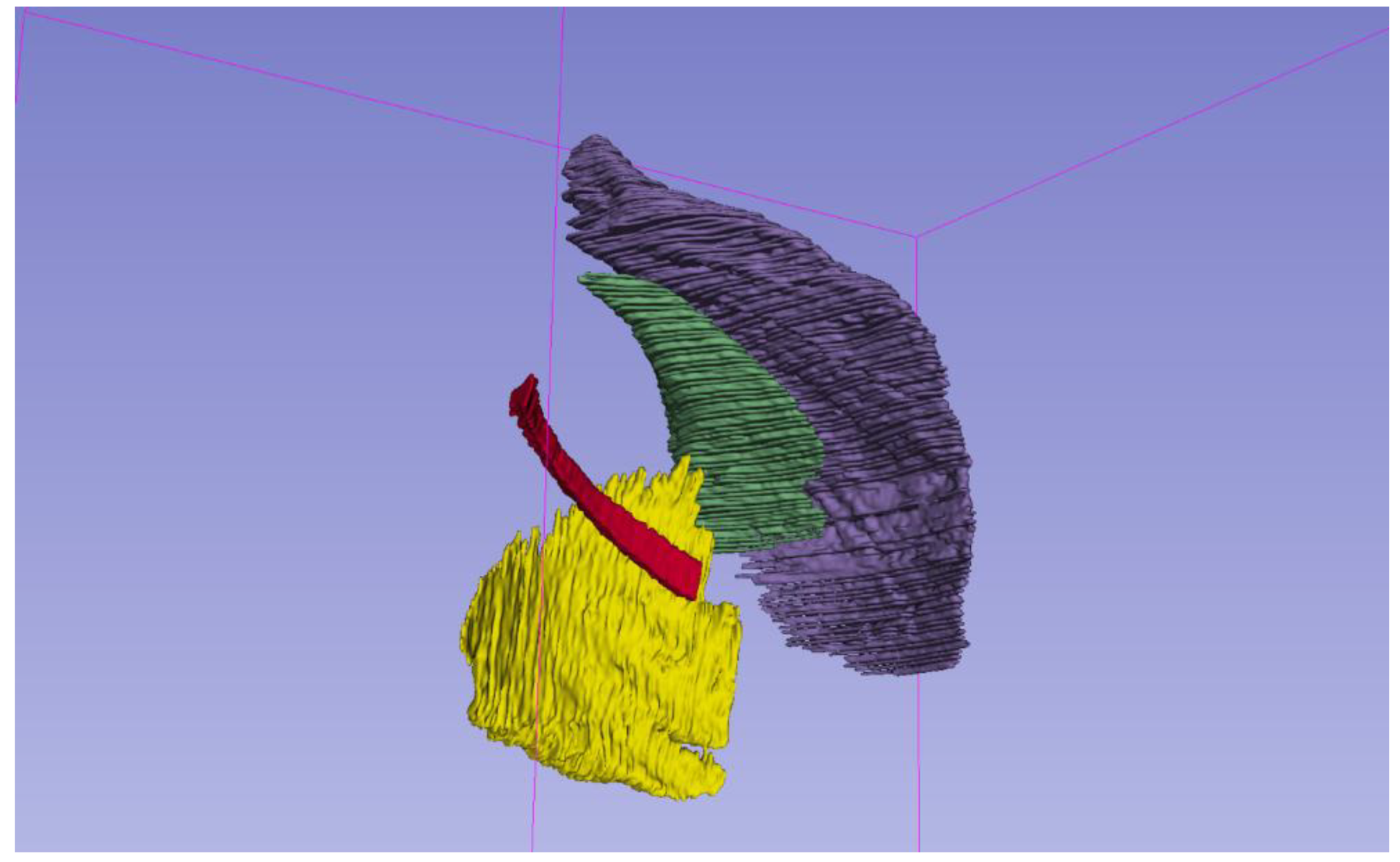 Preprints 178931 g002