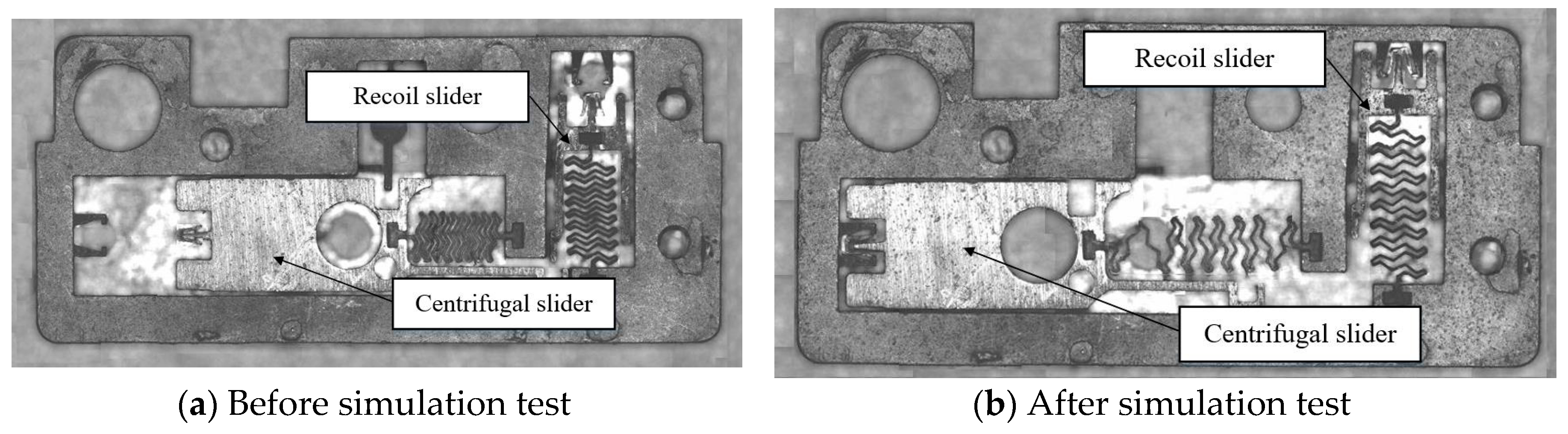 Preprints 77261 g018