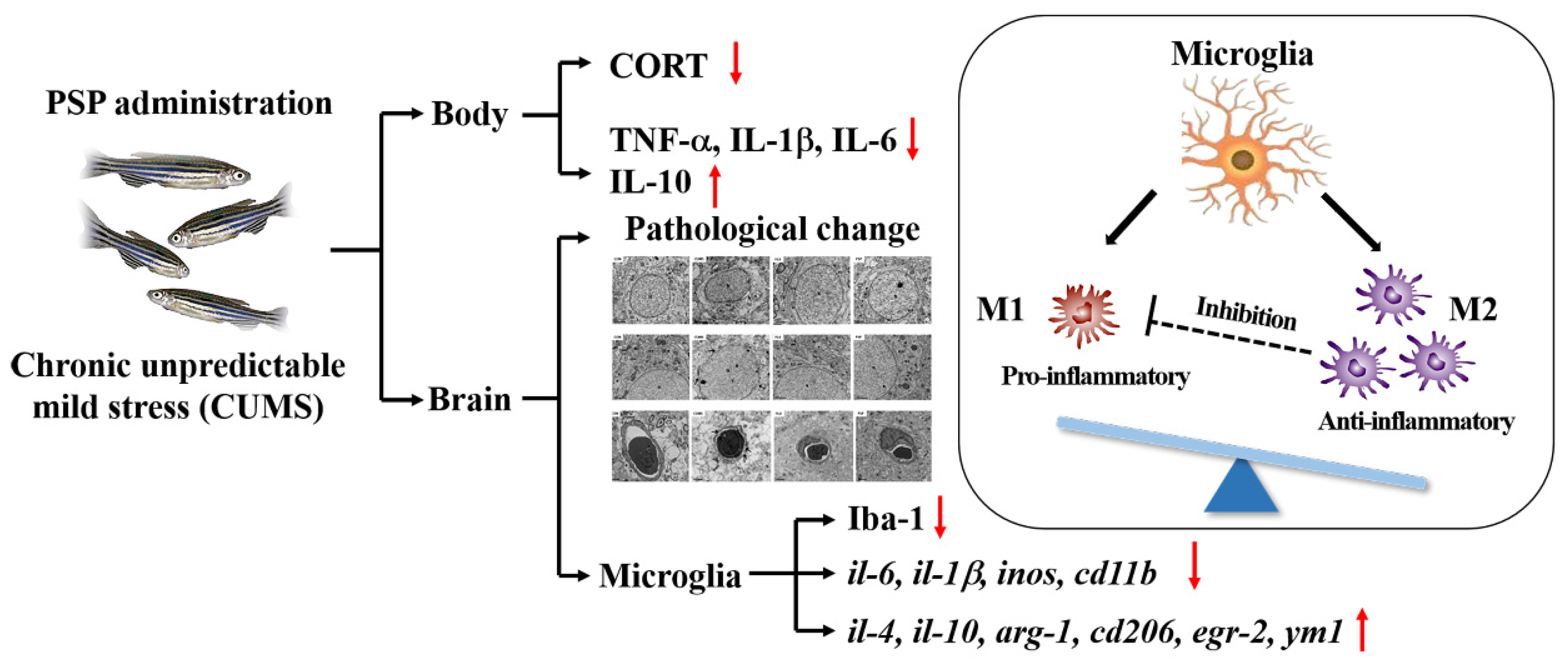 IL CAM CHAIN 94590-45098-00 1996 Yamaha VIRAGO XV1100S | eBay