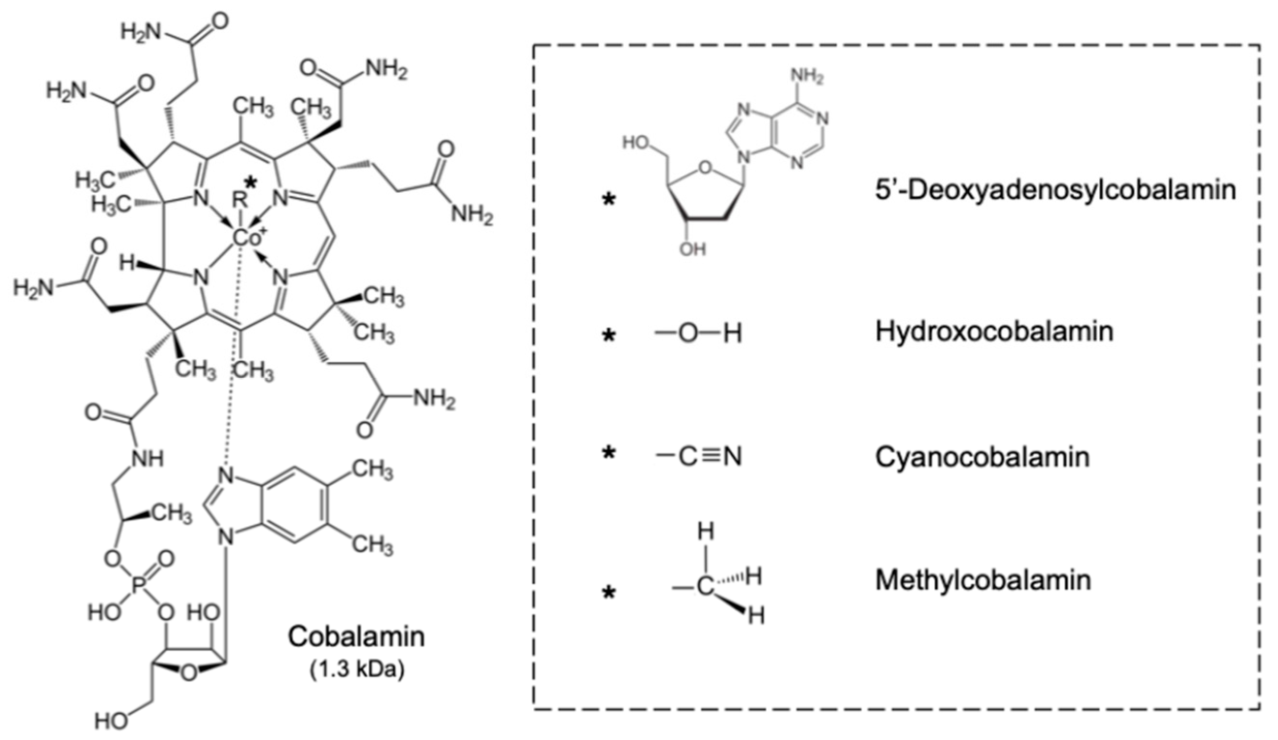 Preprints 202399 g003