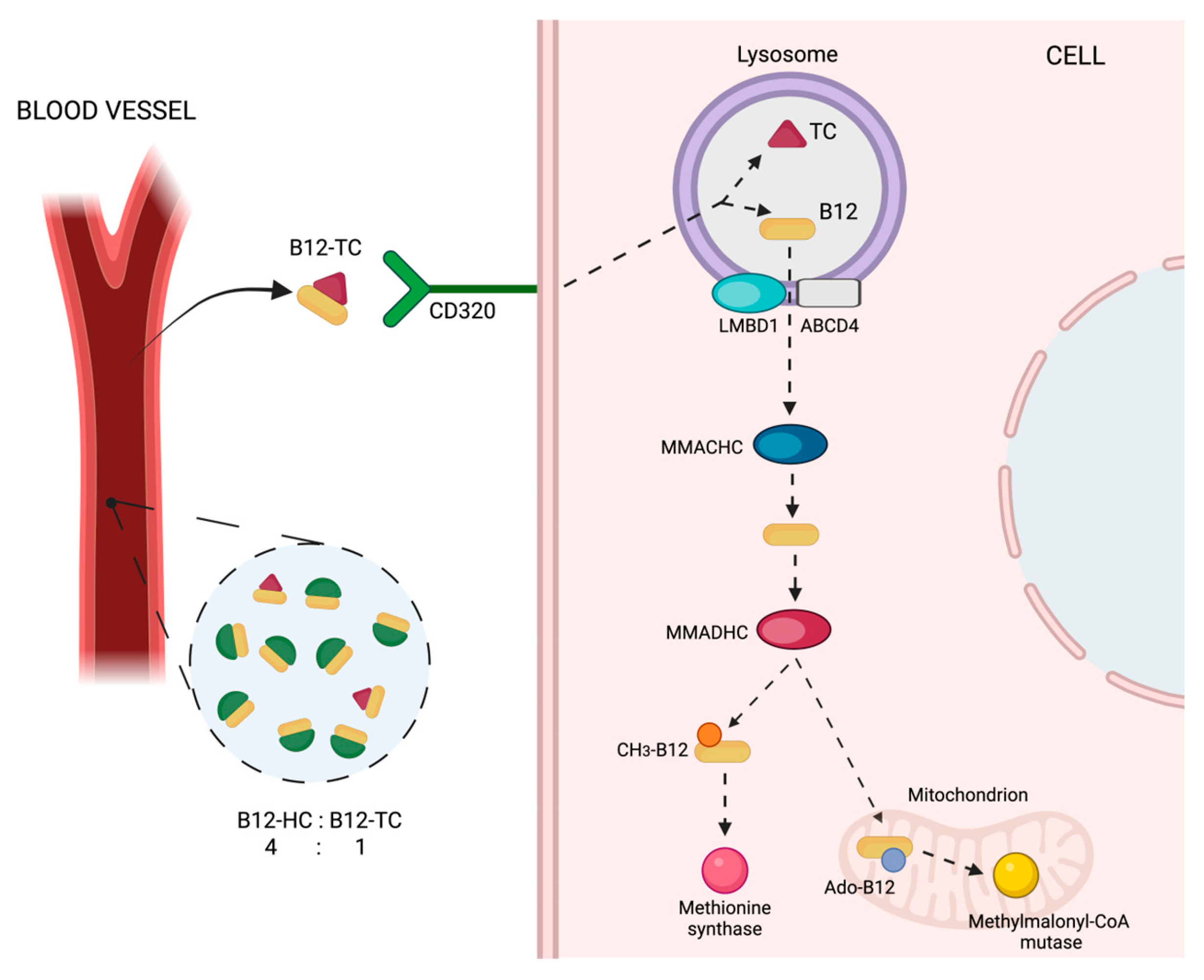 Preprints 202399 g005