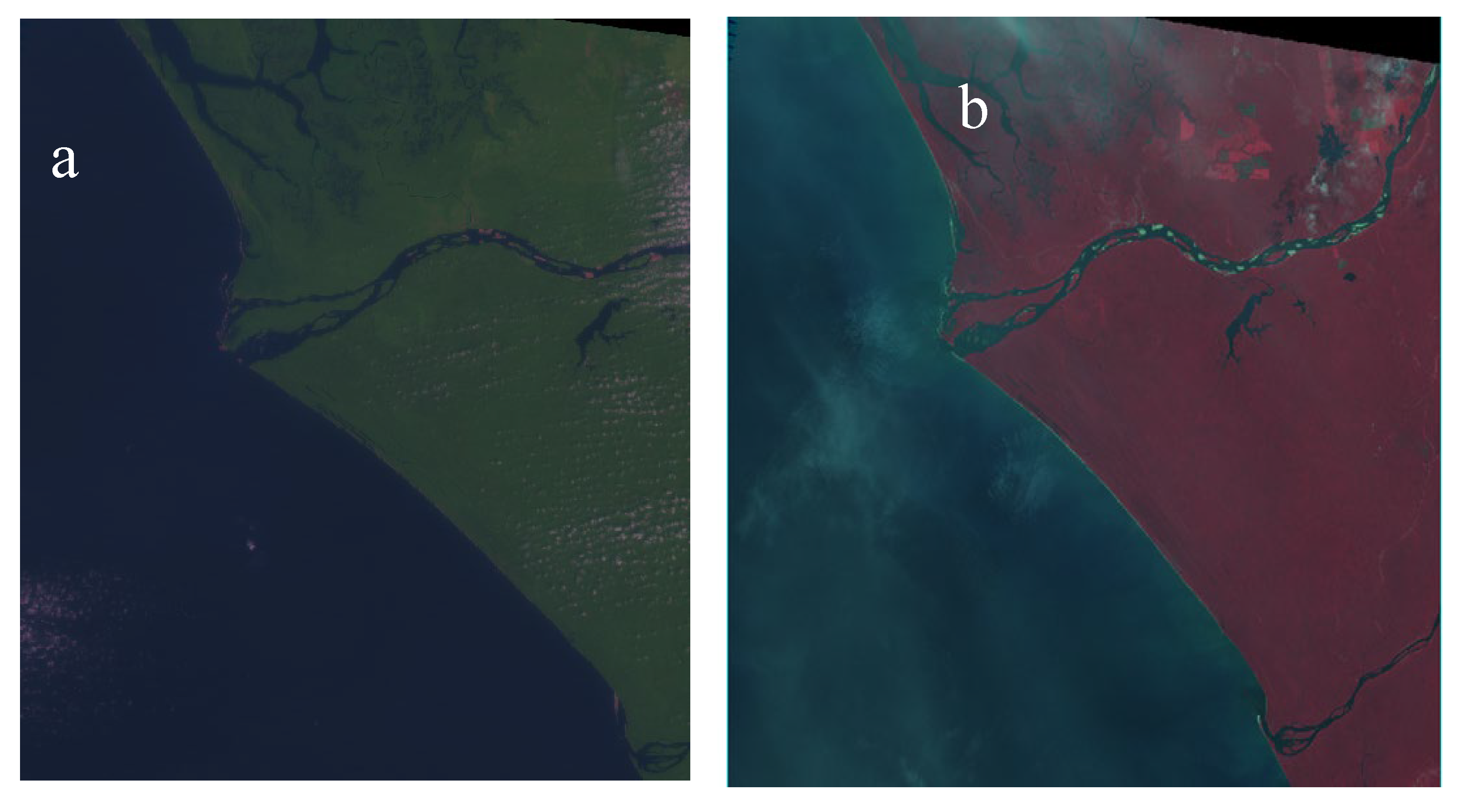 Preprints 147417 g002