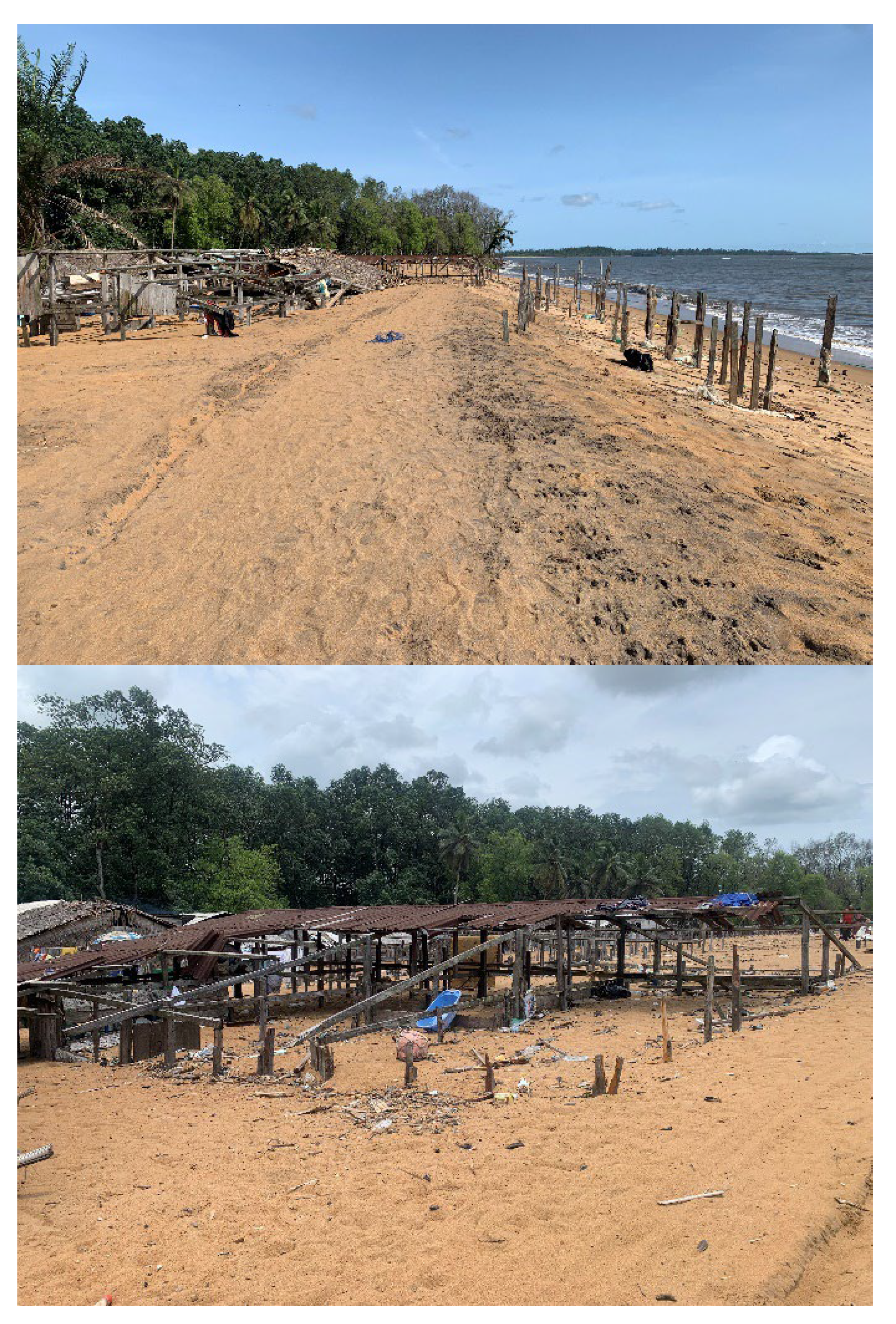 Preprints 147417 g008