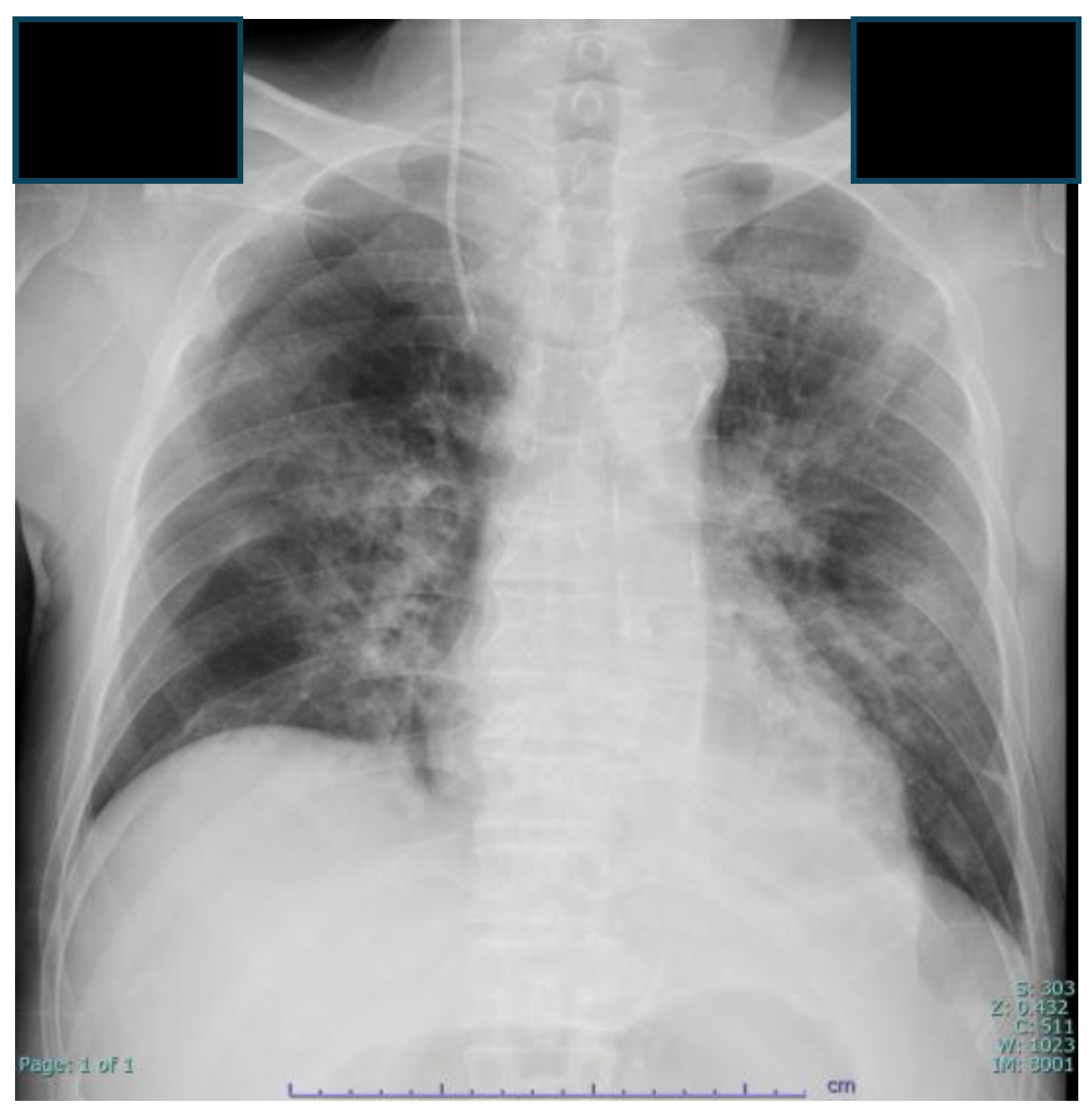 Preprints 207613 g004 Preprints 207613 g004