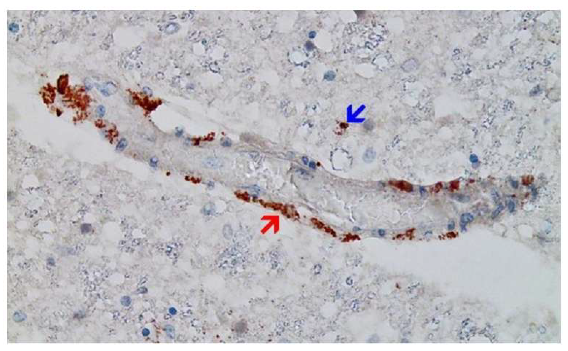 Preprints 178480 g001