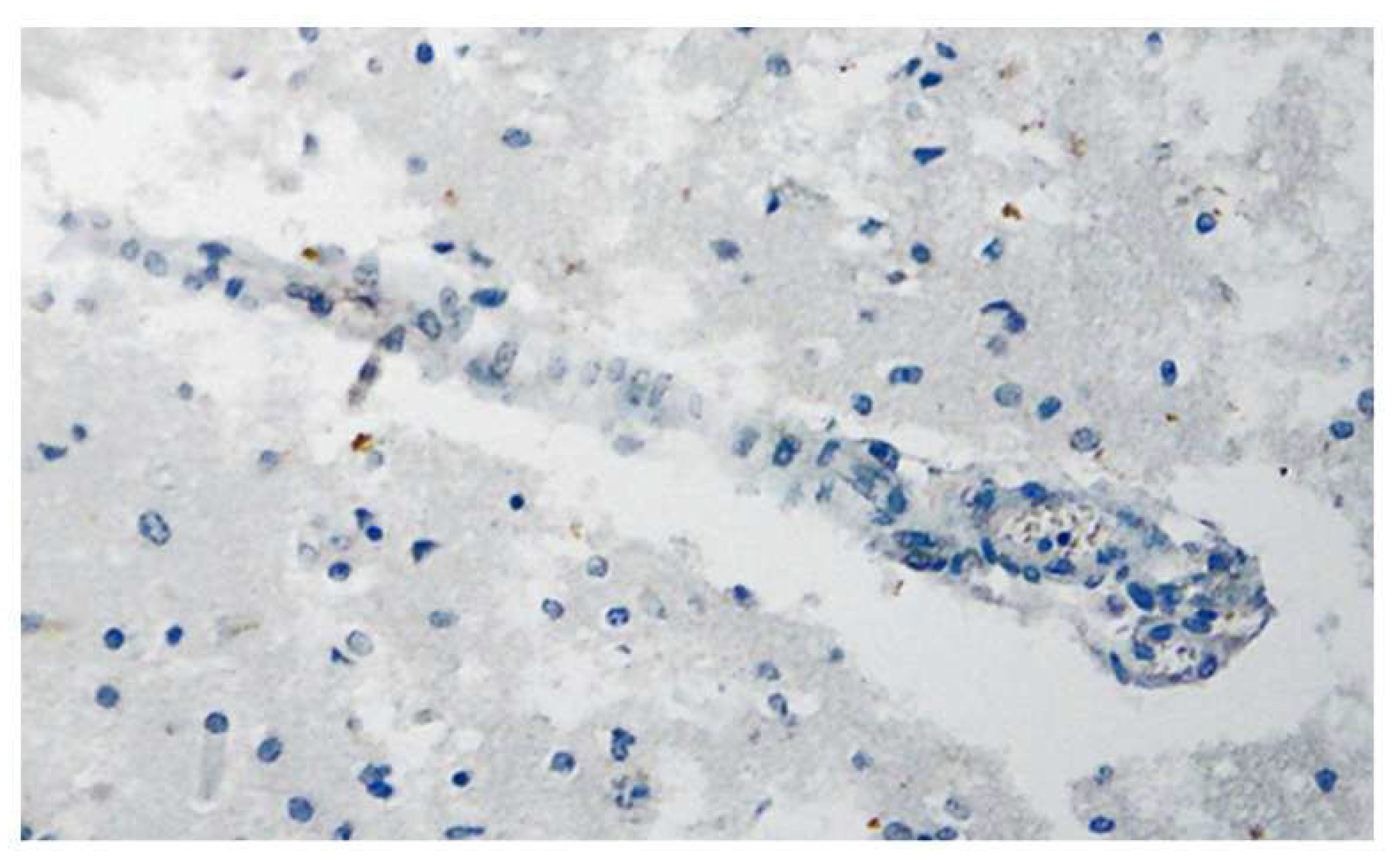 Preprints 178480 g002