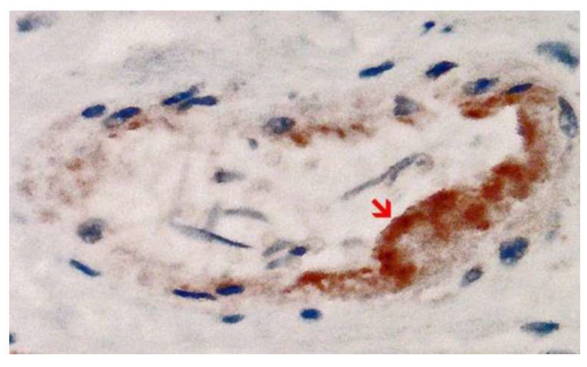 Preprints 178480 g003