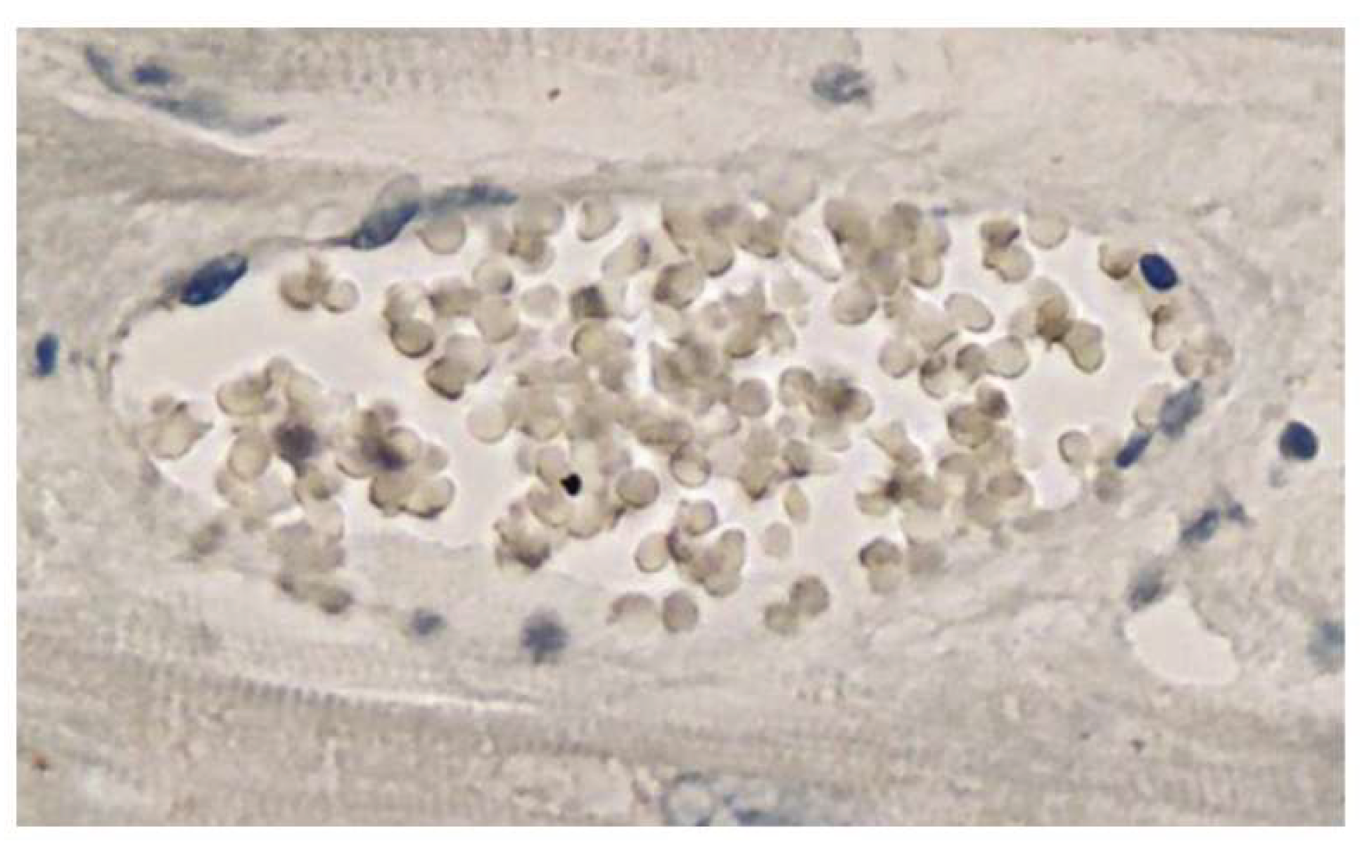 Preprints 178480 g004