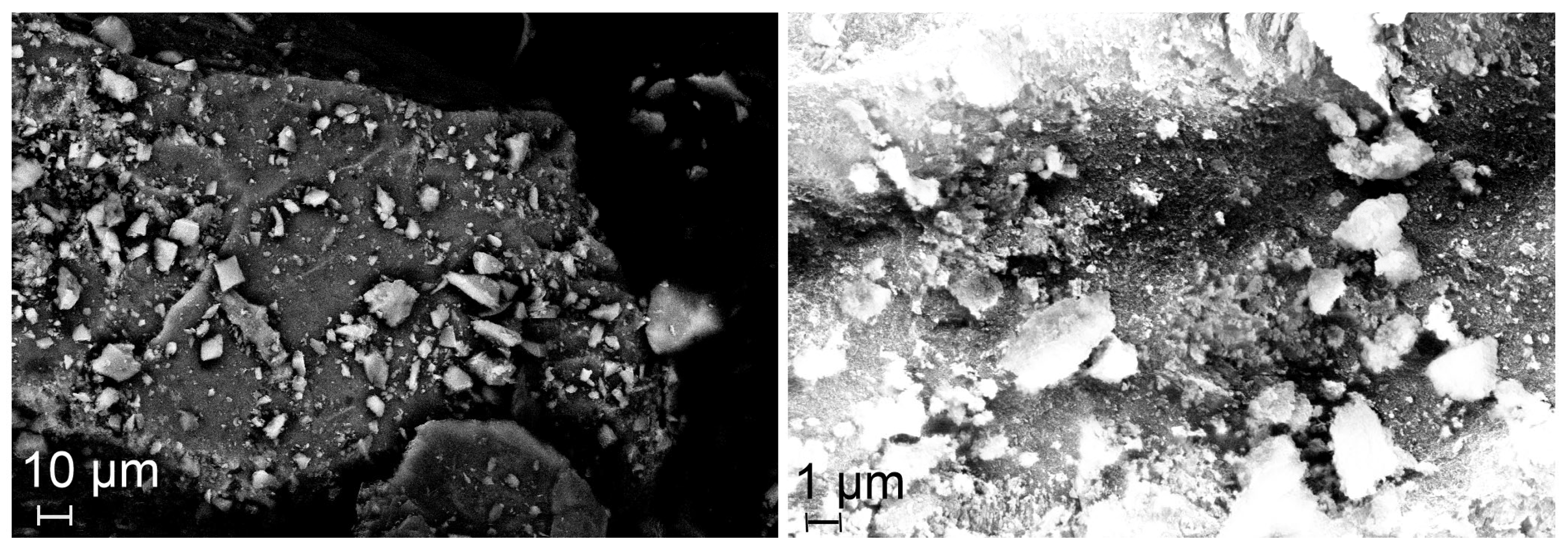 Preprints 197892 g006