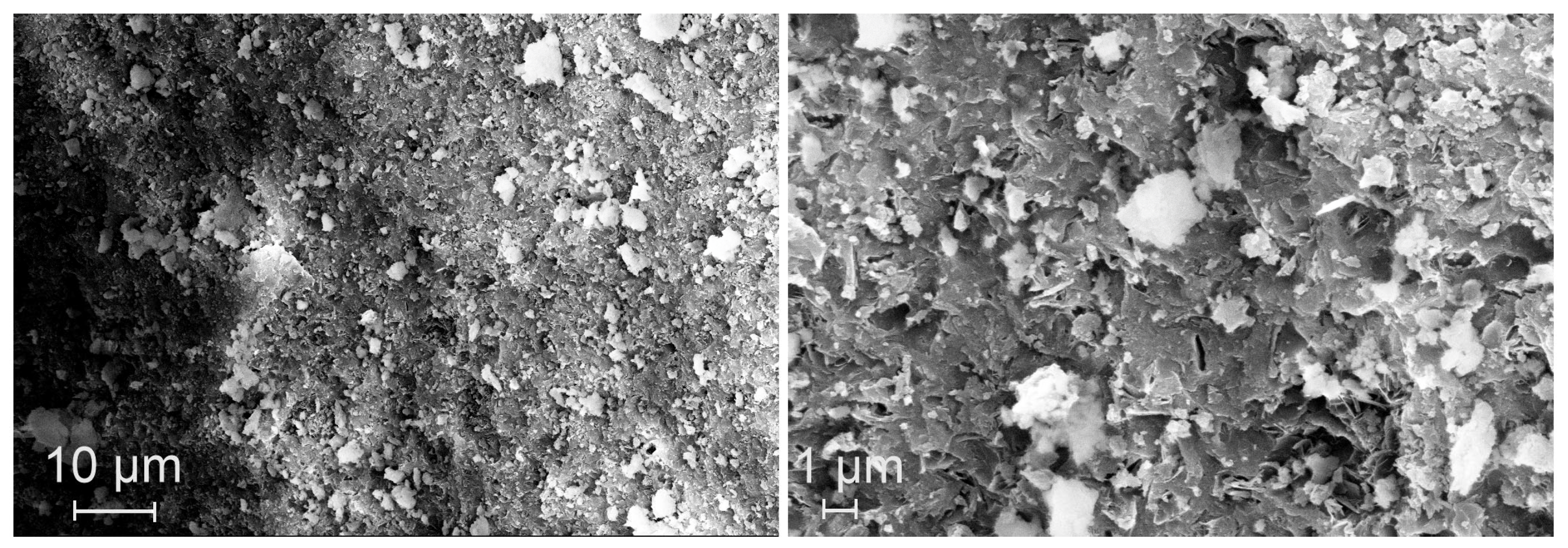 Preprints 197892 g011