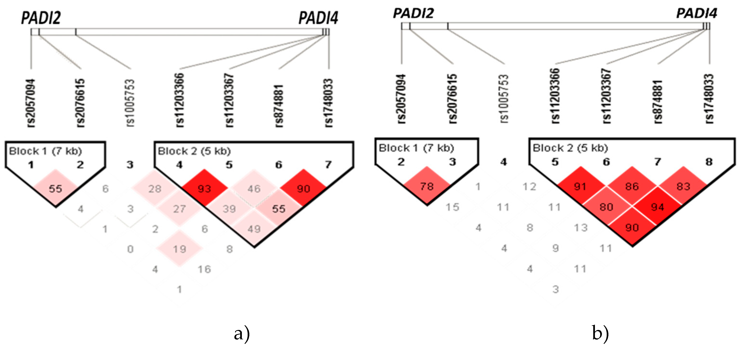Preprints 86122 g001