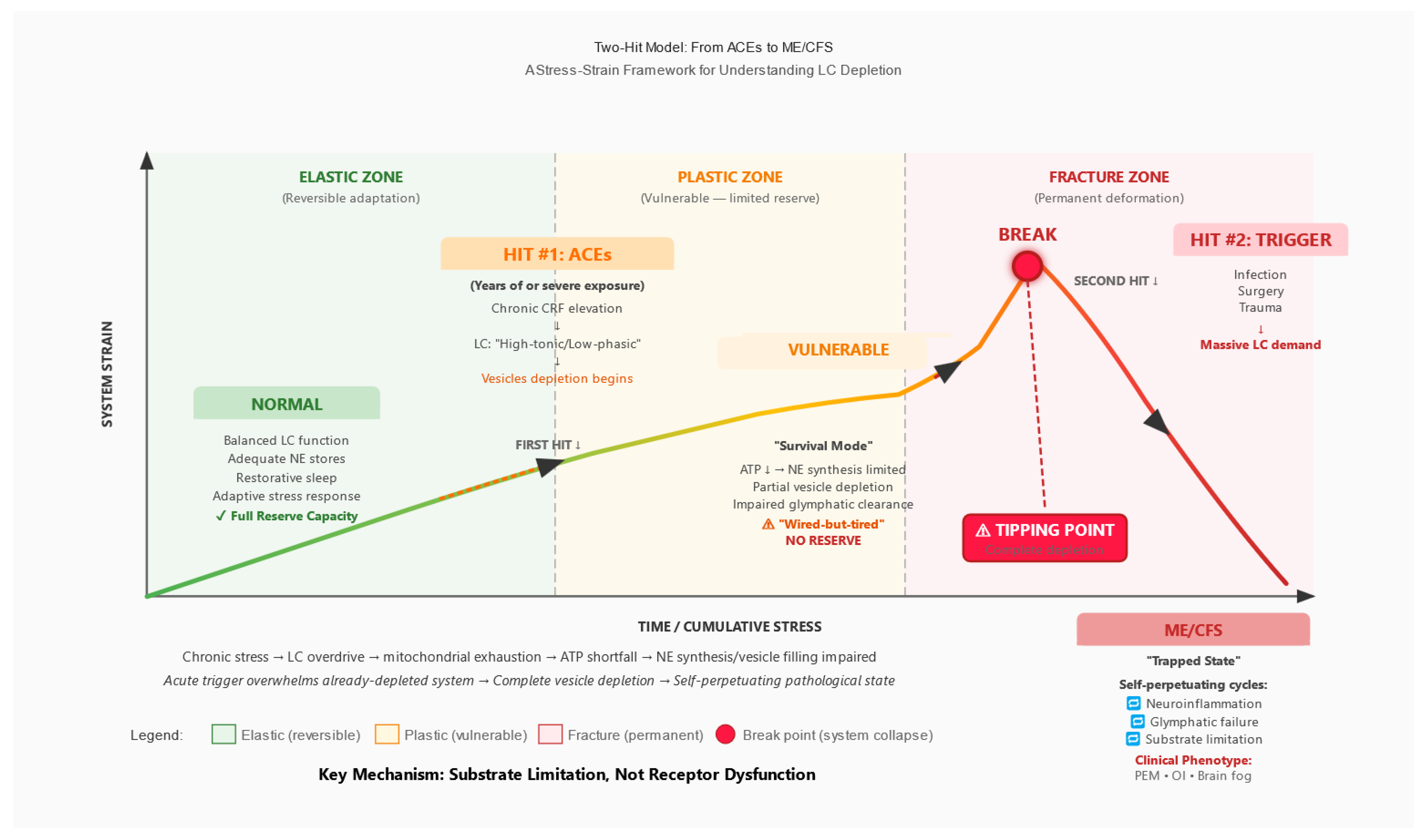 Preprints 190297 g002