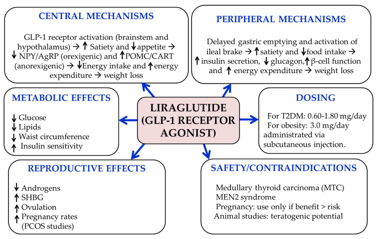 Preprints 215408 g003