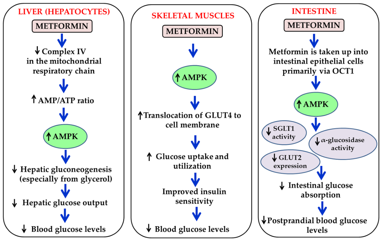 Preprints 215408 g006