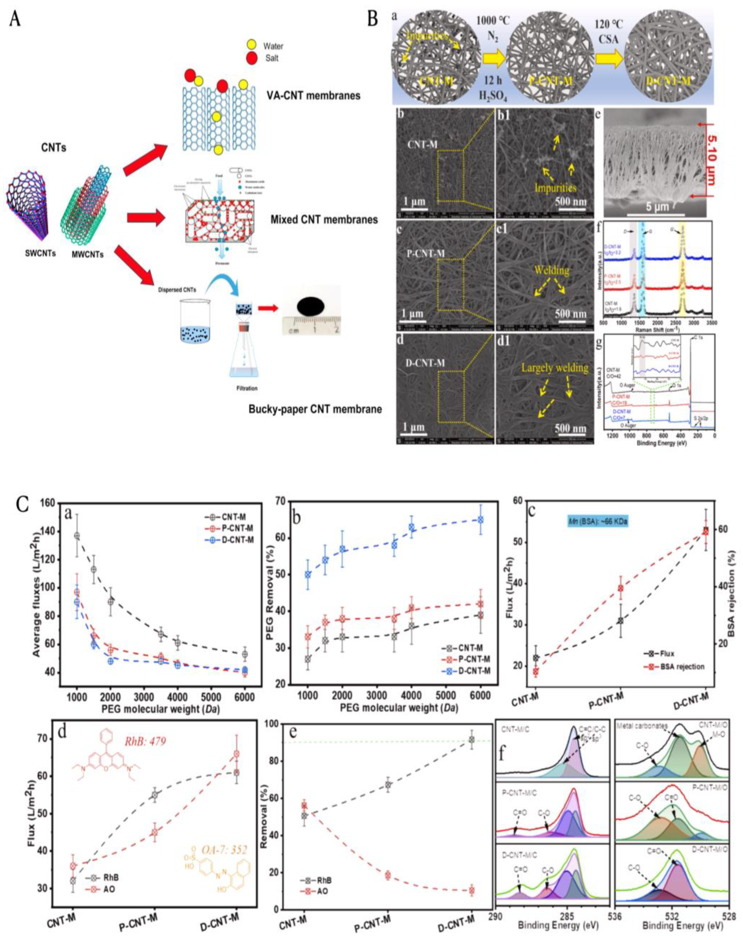 Preprints 179668 g008