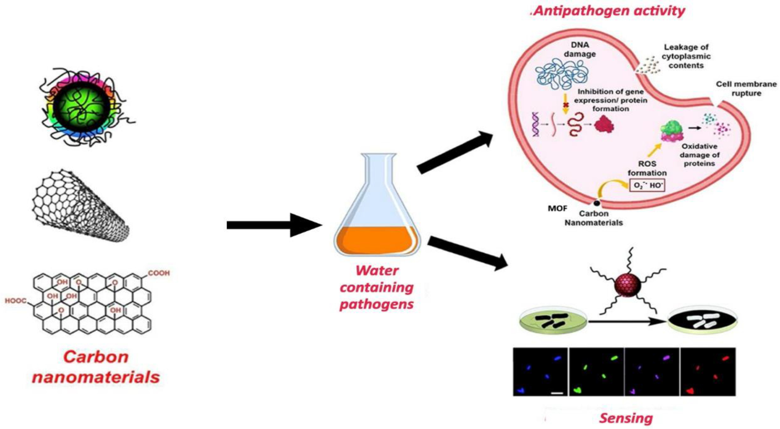 Preprints 179668 g013