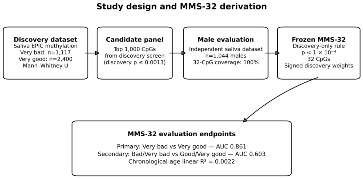 Preprints 230295 sch001 Preprints 230295 sch001