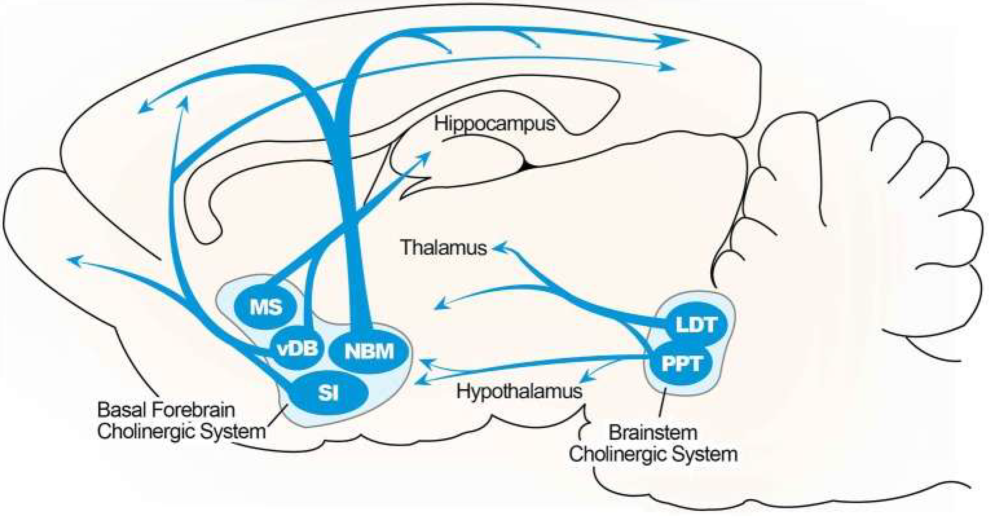 Preprints 206034 g001