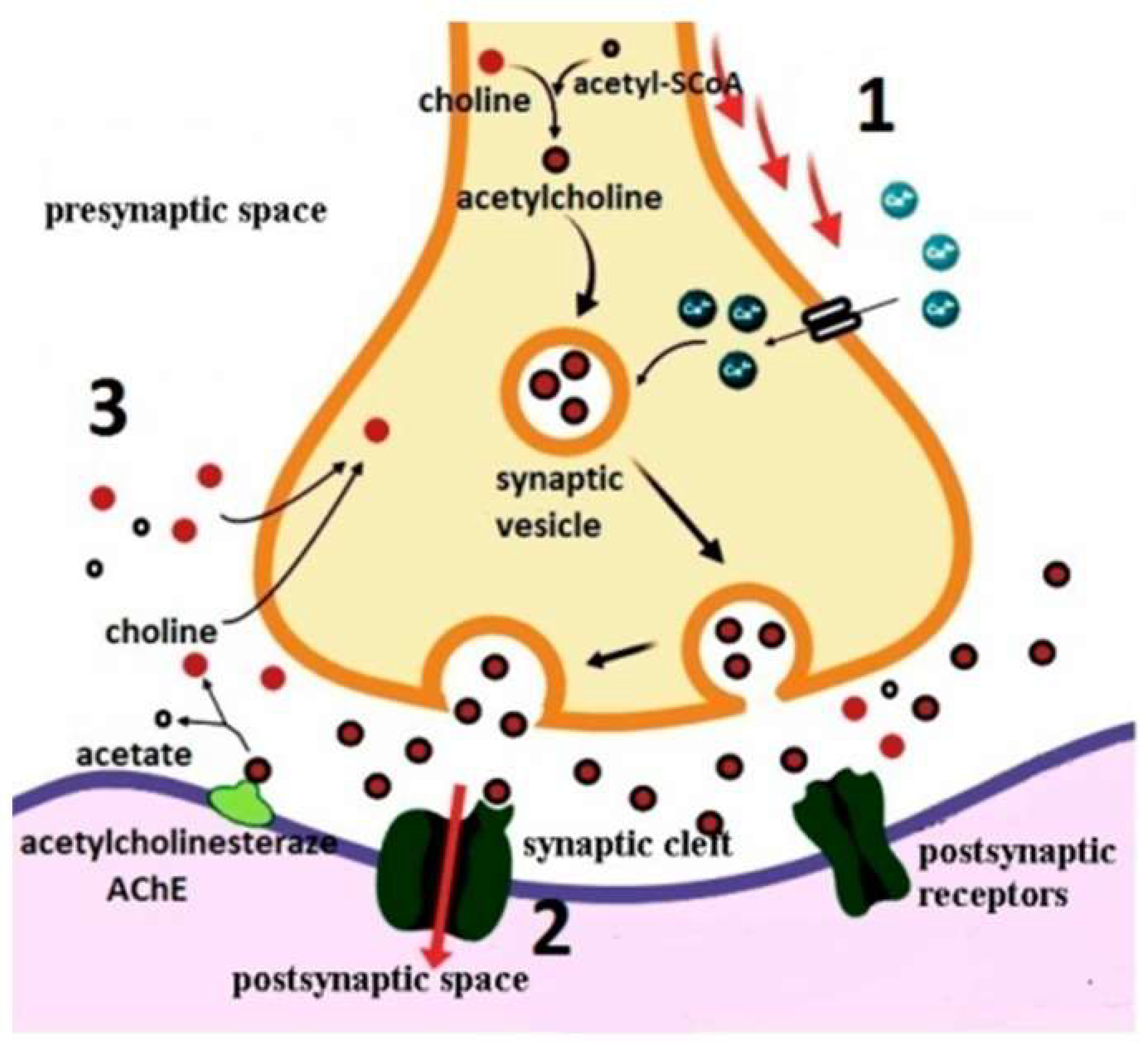 Preprints 206034 g002