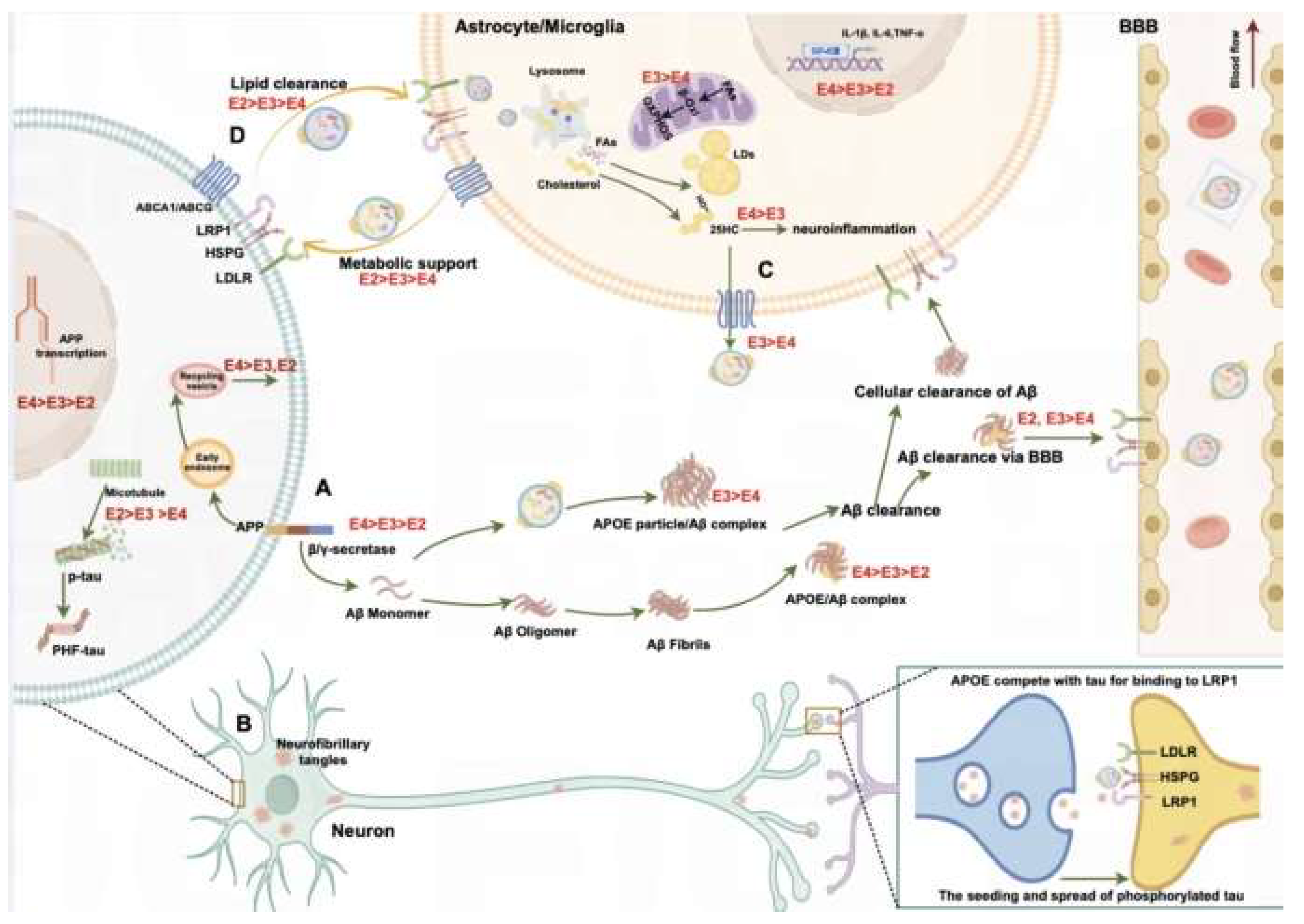 Preprints 206034 g003