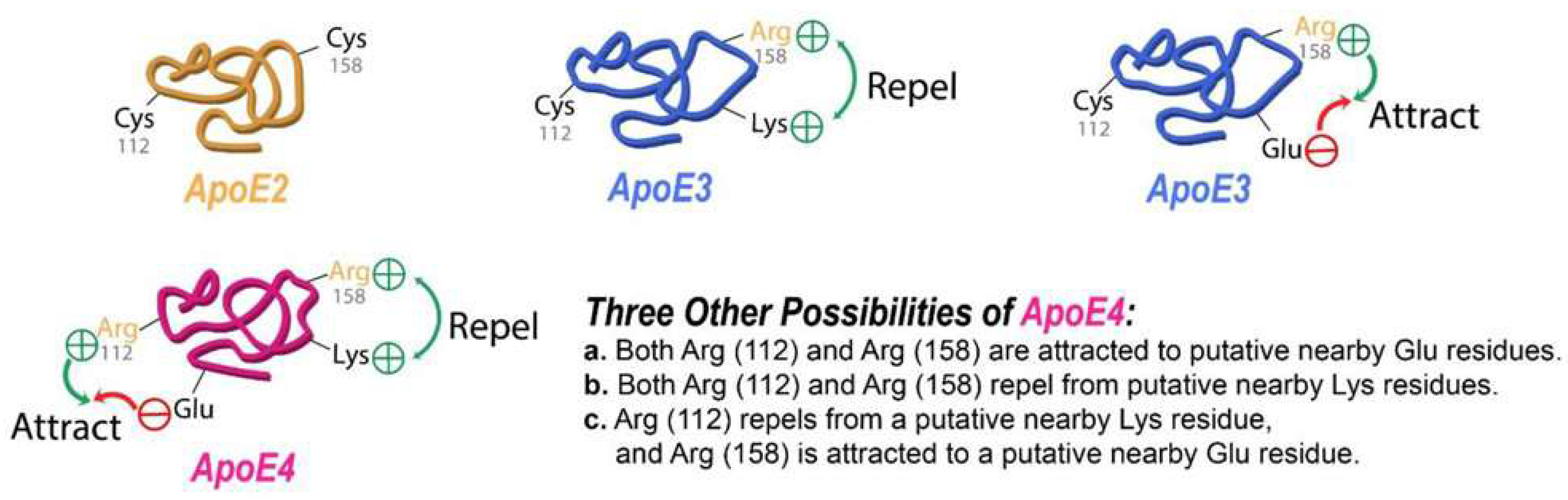 Preprints 206034 g004