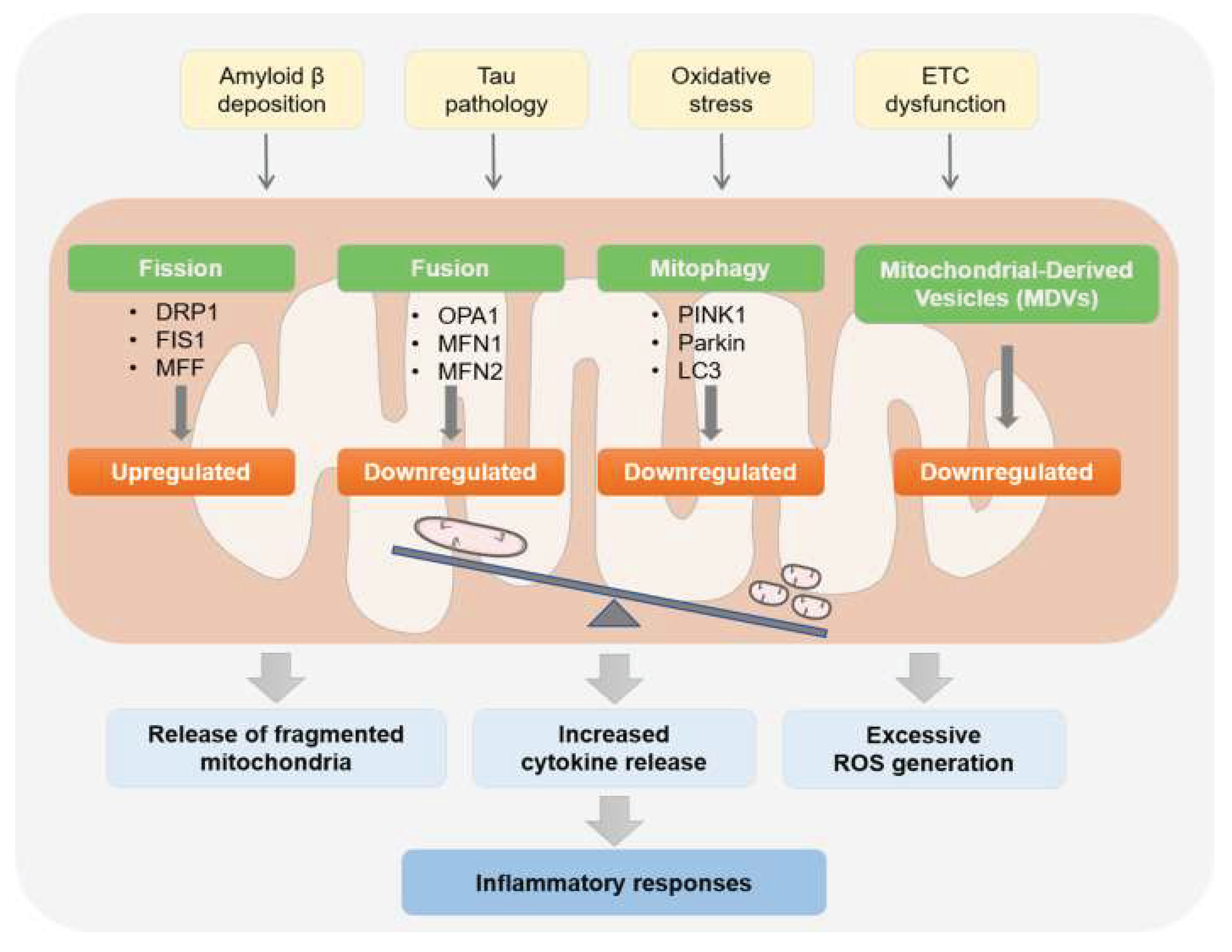 Preprints 206034 g005