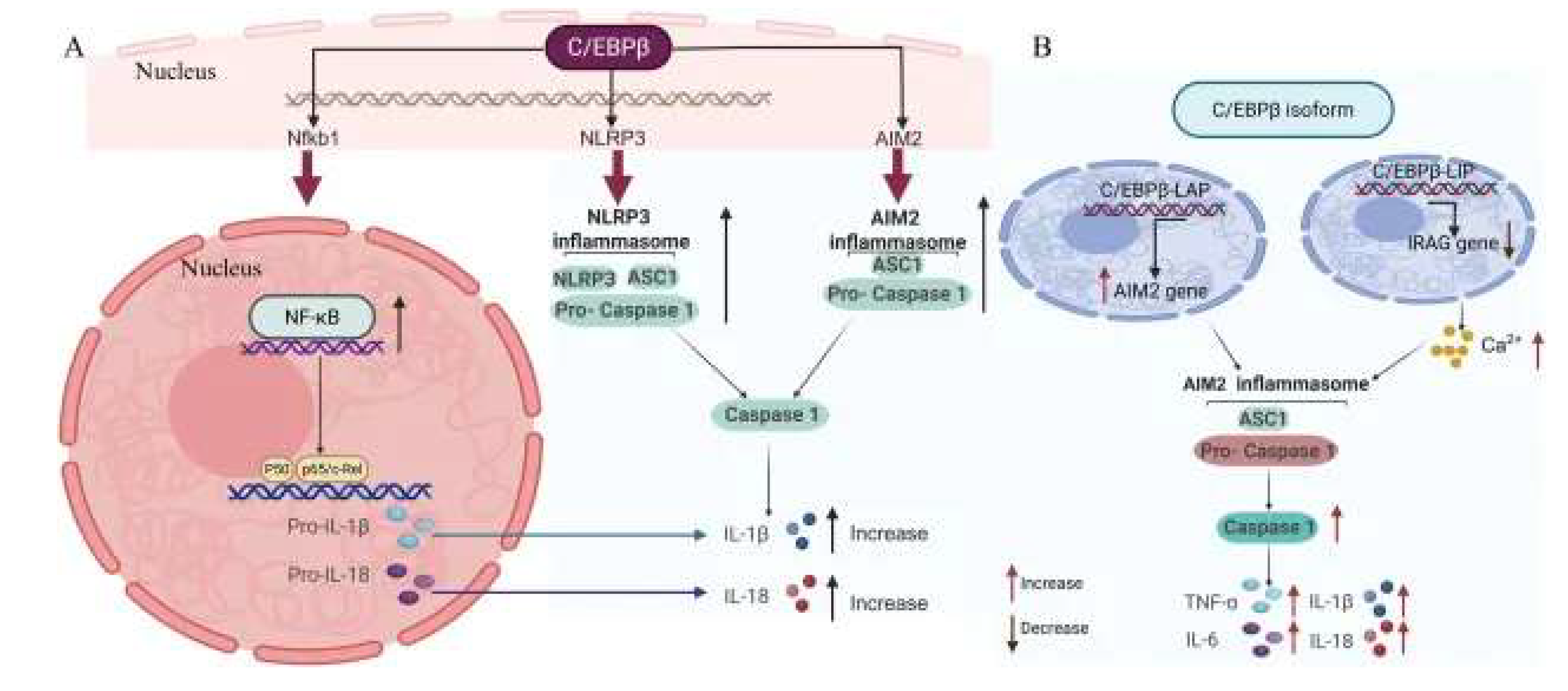 Preprints 206034 g006