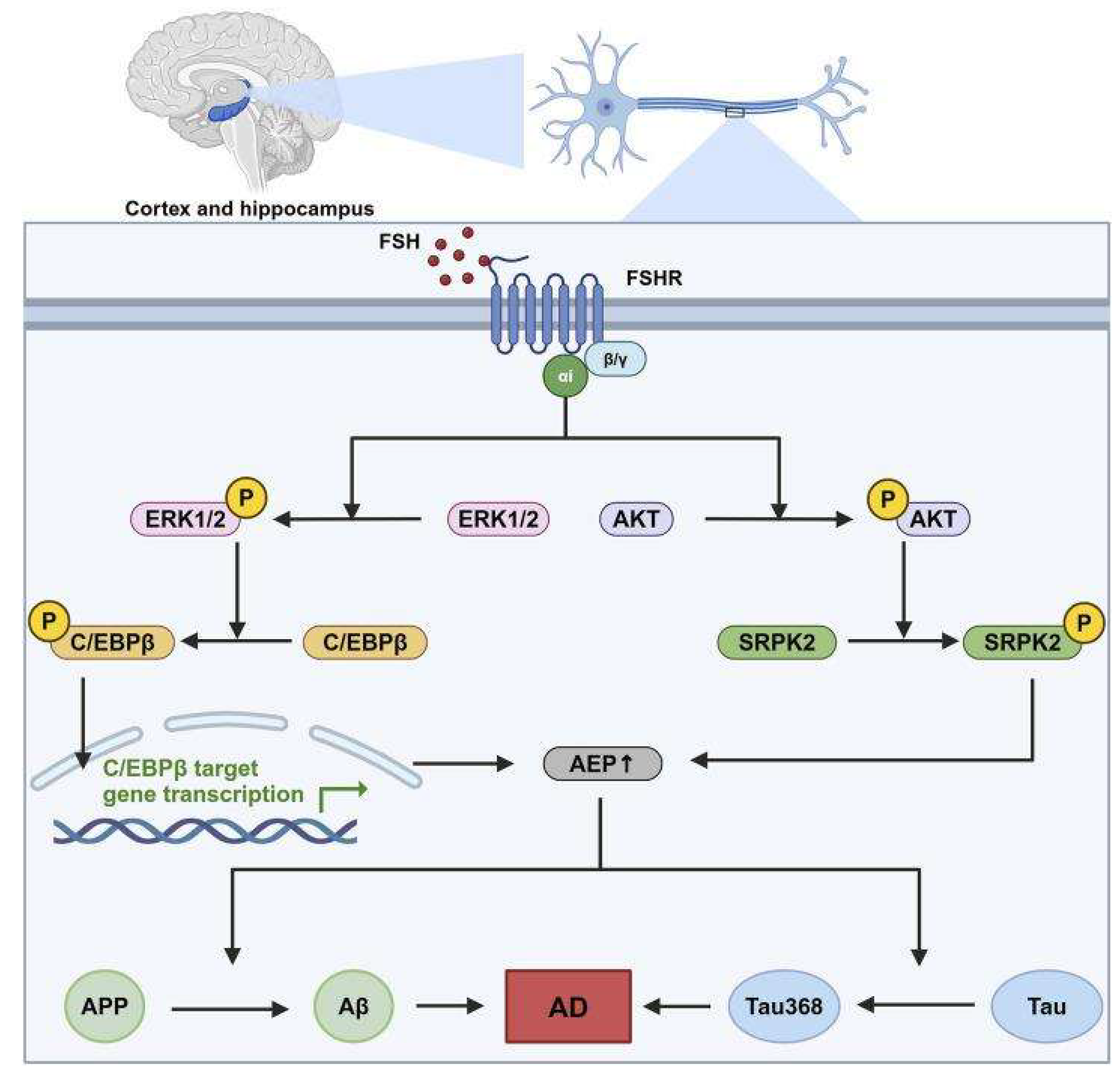 Preprints 206034 g007