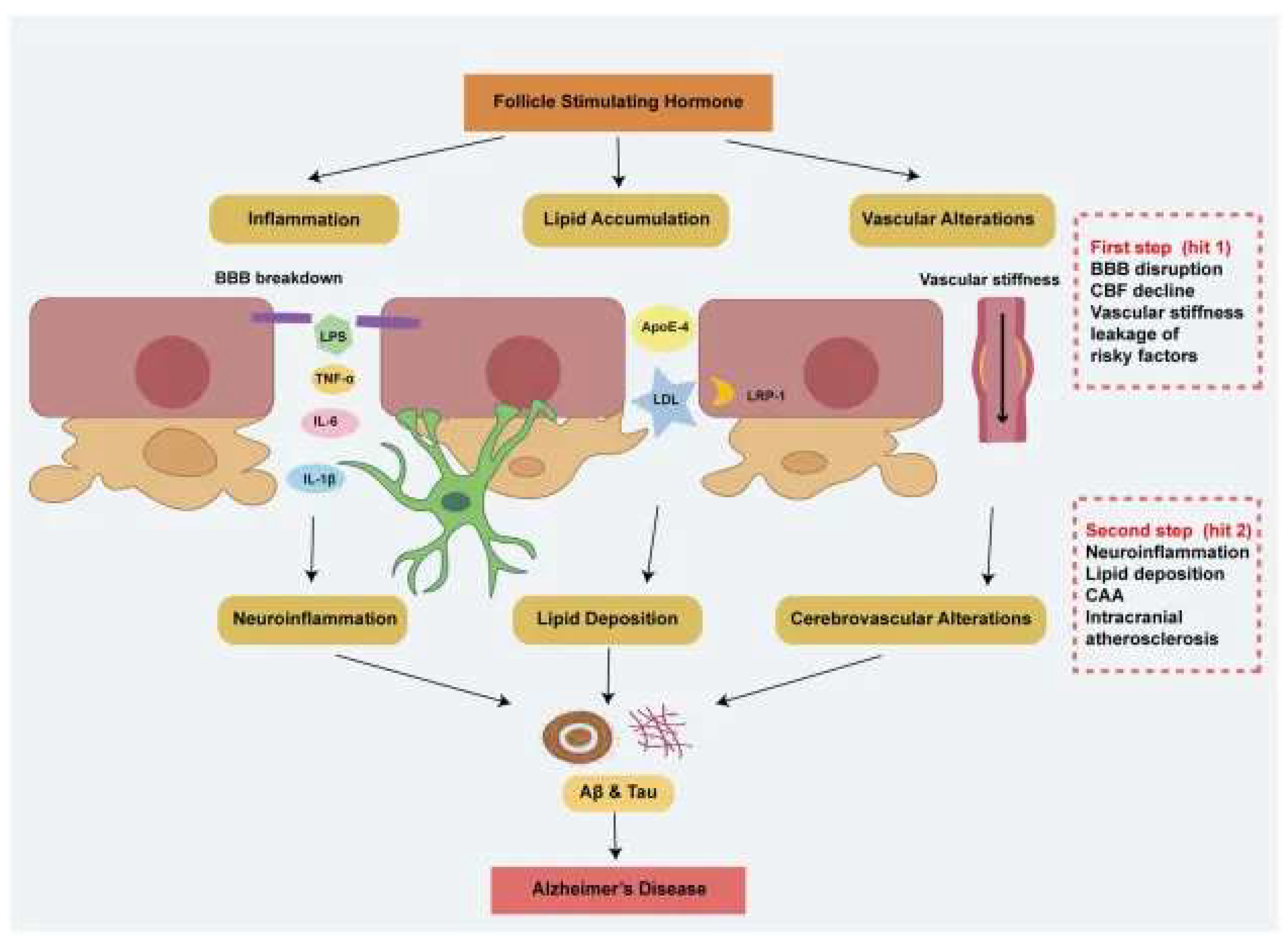 Preprints 206034 g008