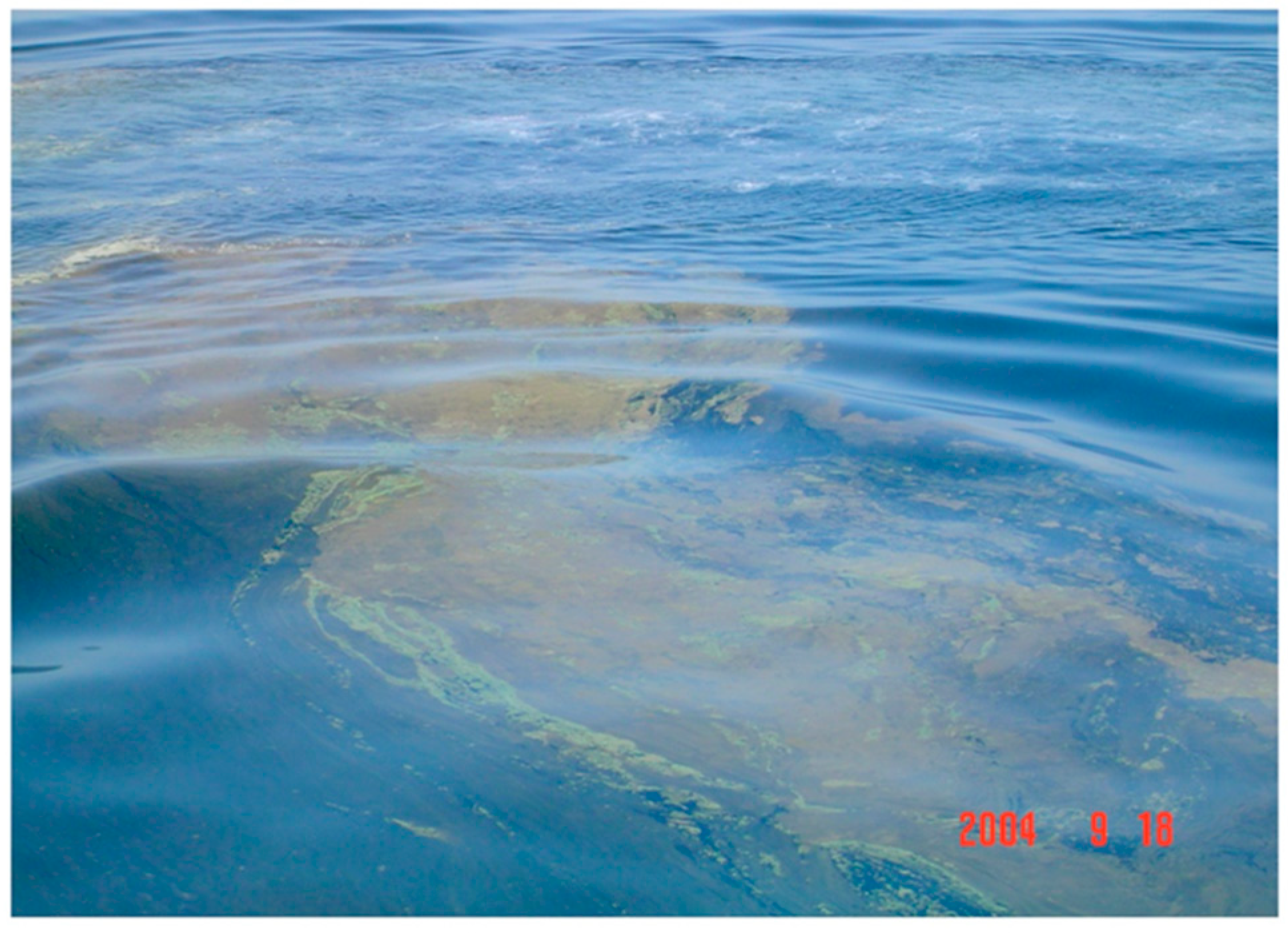 Preprints 148105 g002