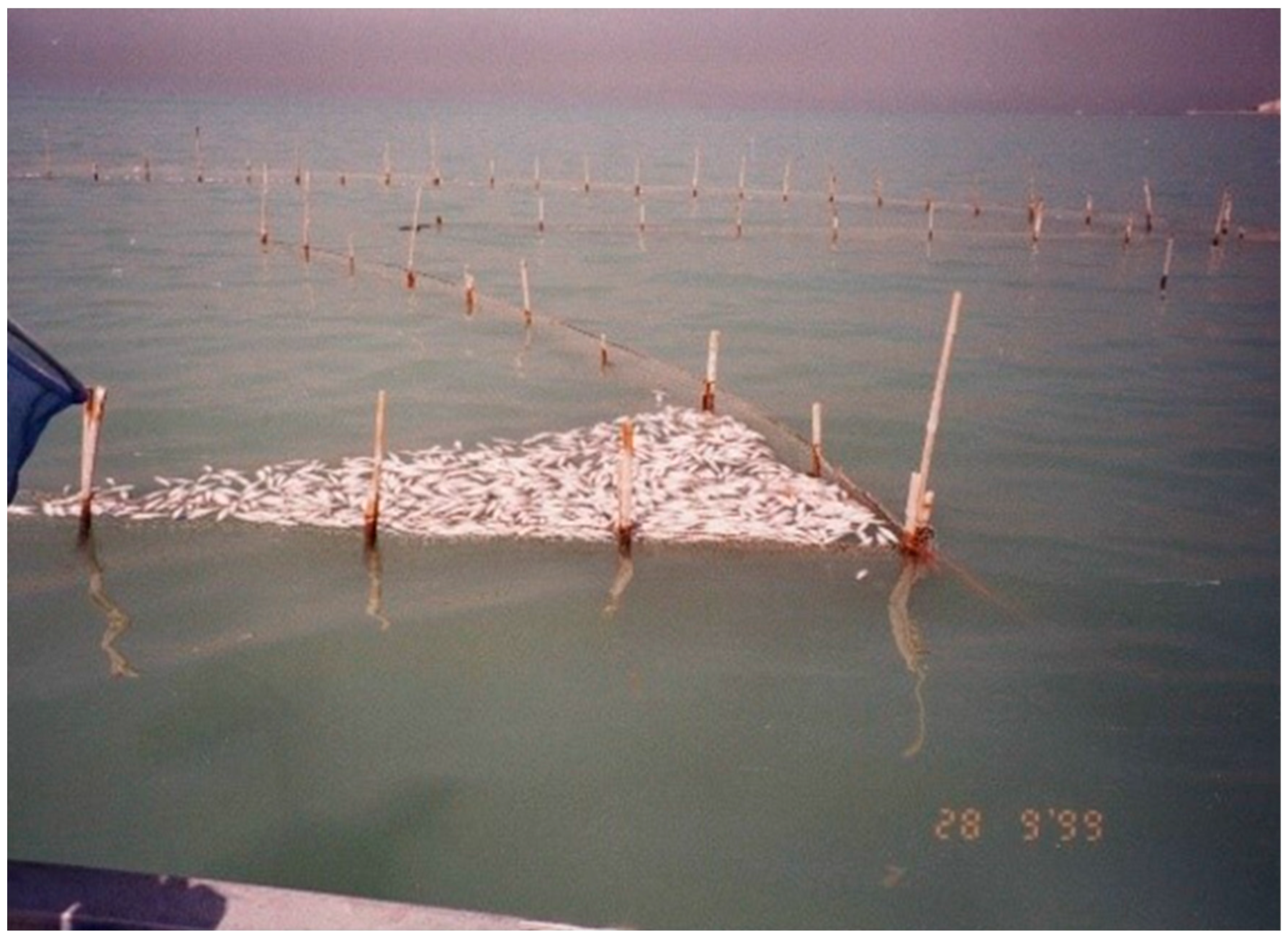 Preprints 148105 g003