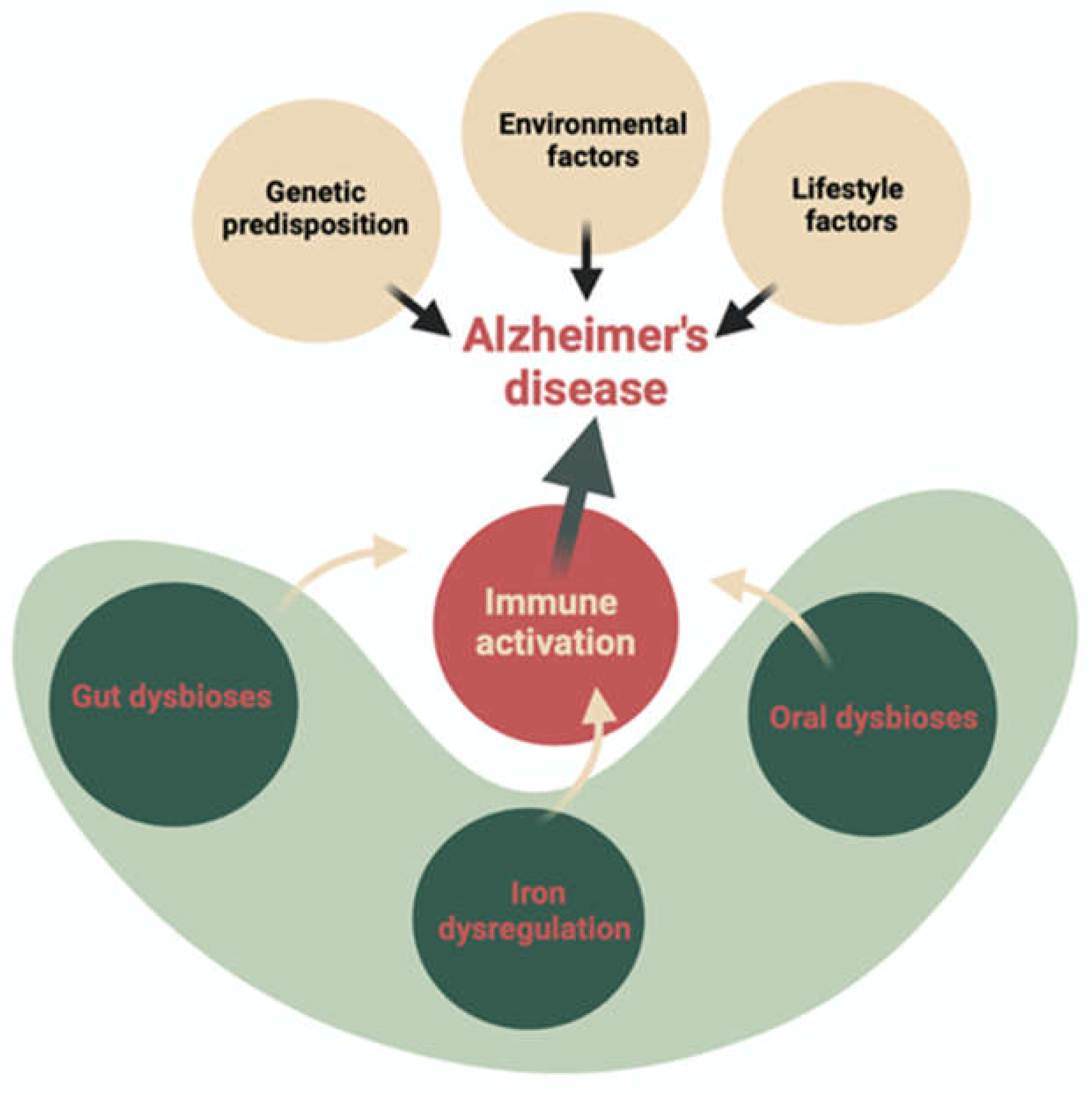 Preprints 142463 g001