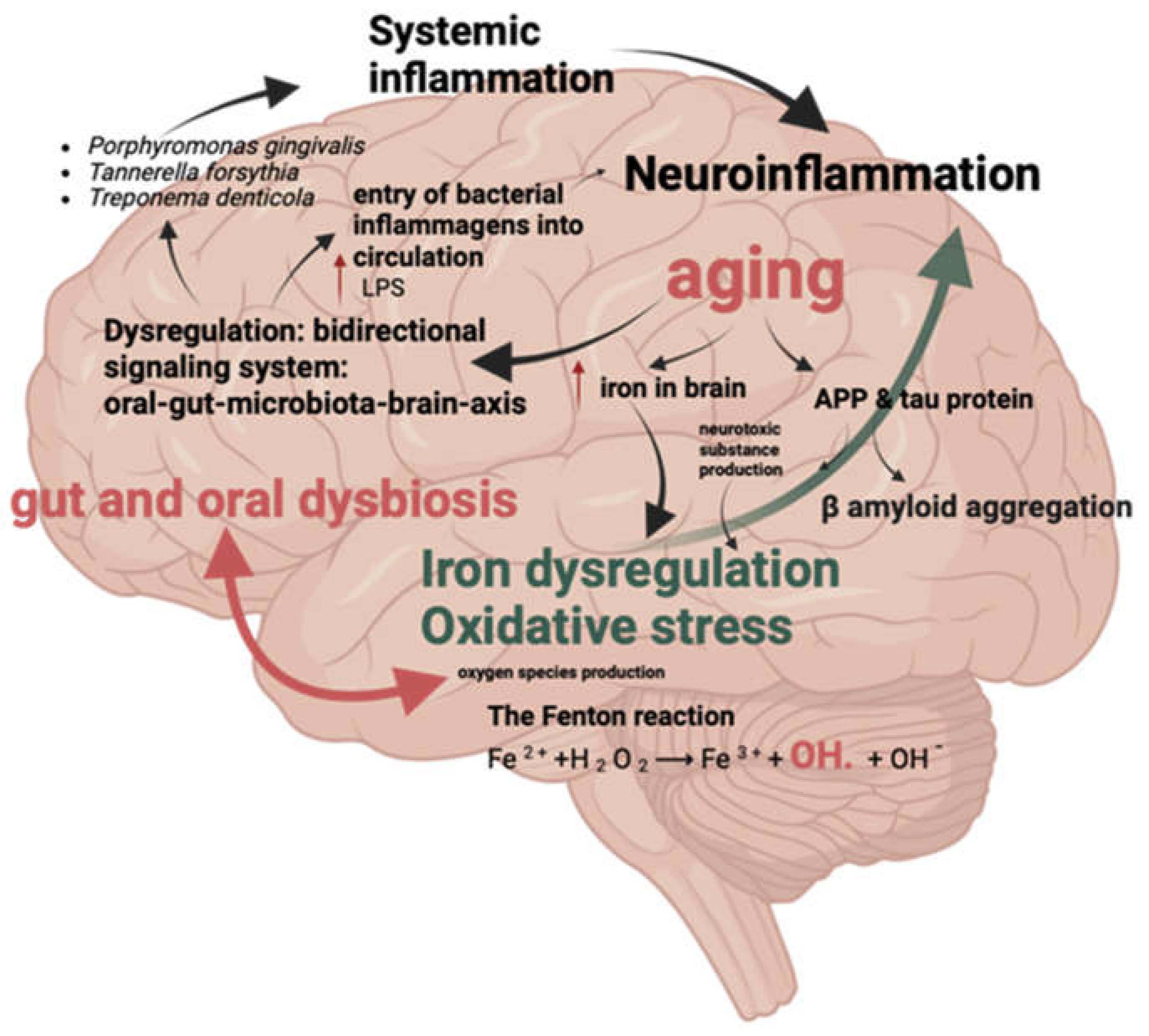 Preprints 142463 g002