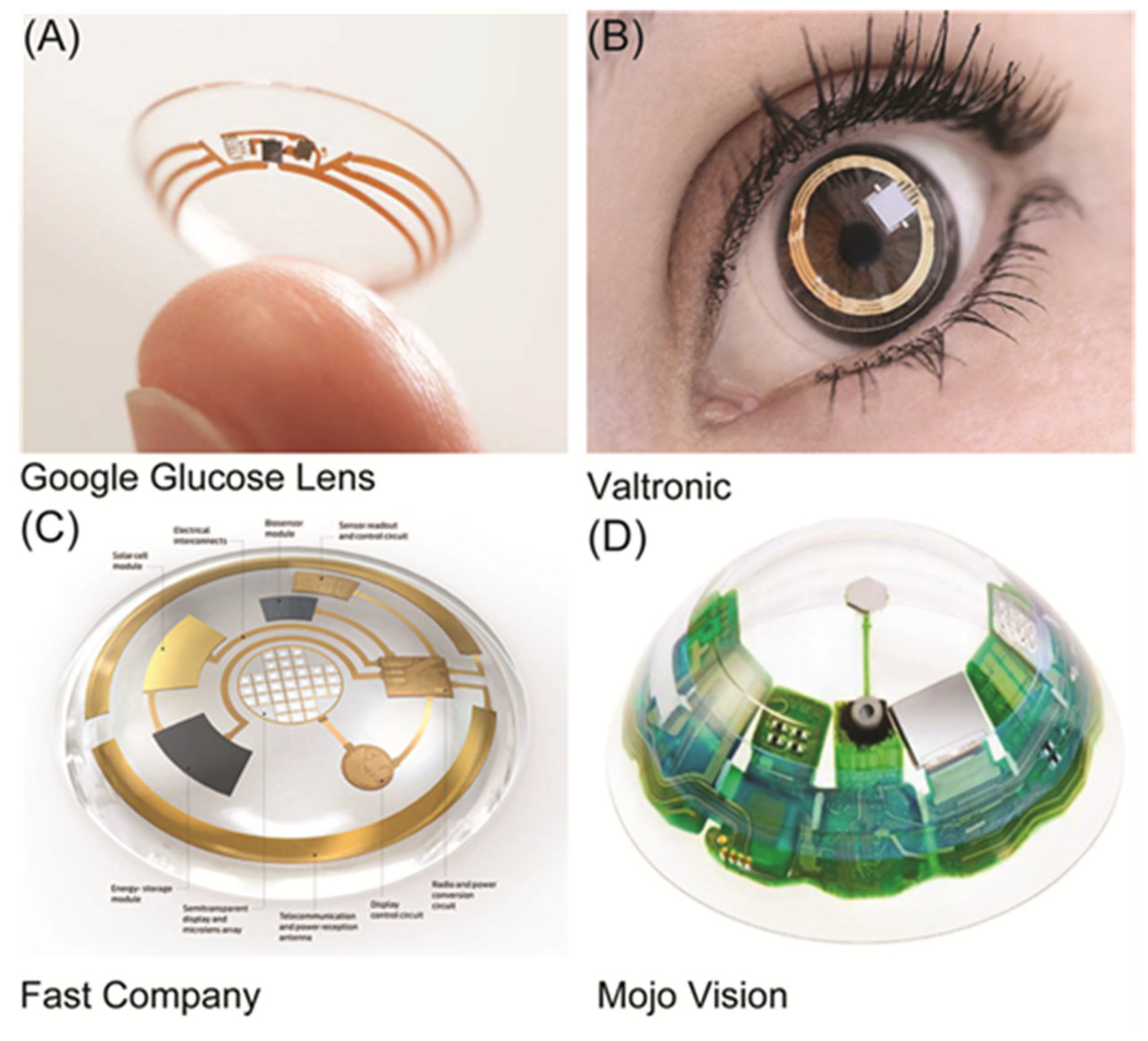 Preprints 155519 g001