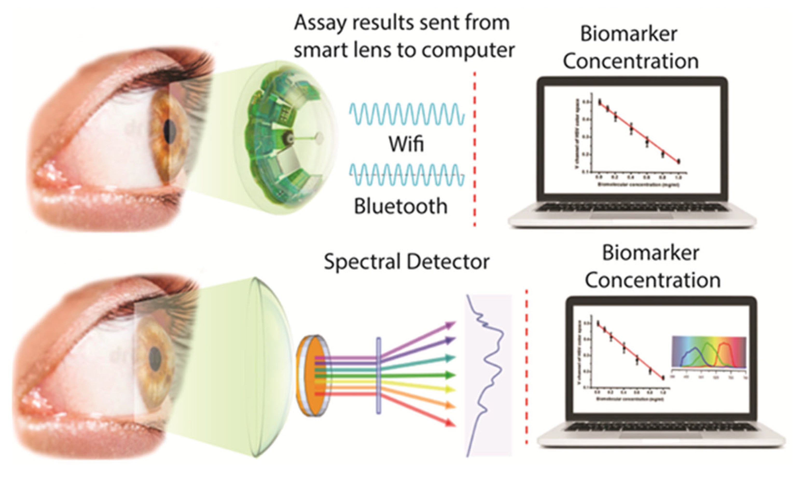 Preprints 155519 g002