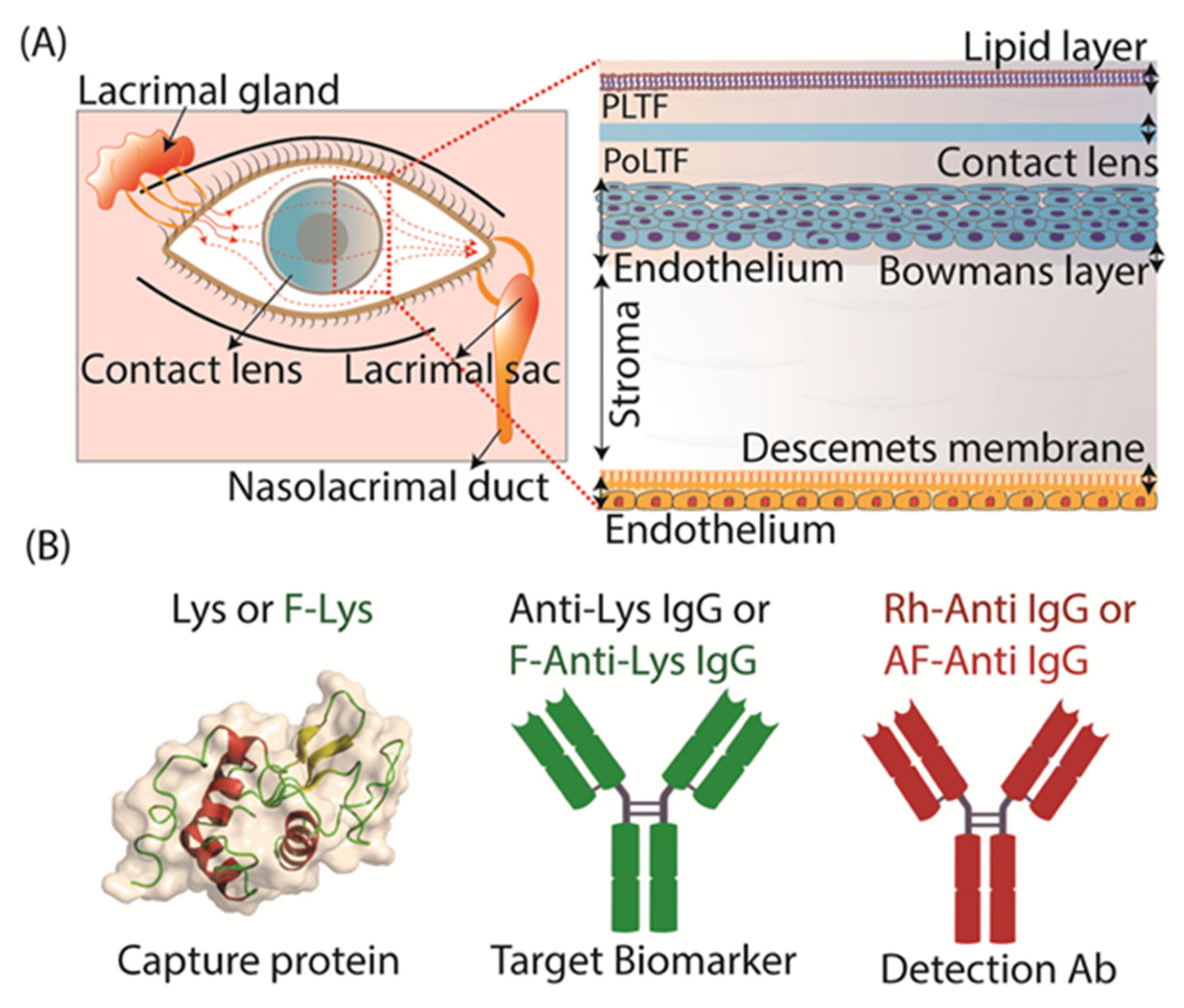 Preprints 155519 g003