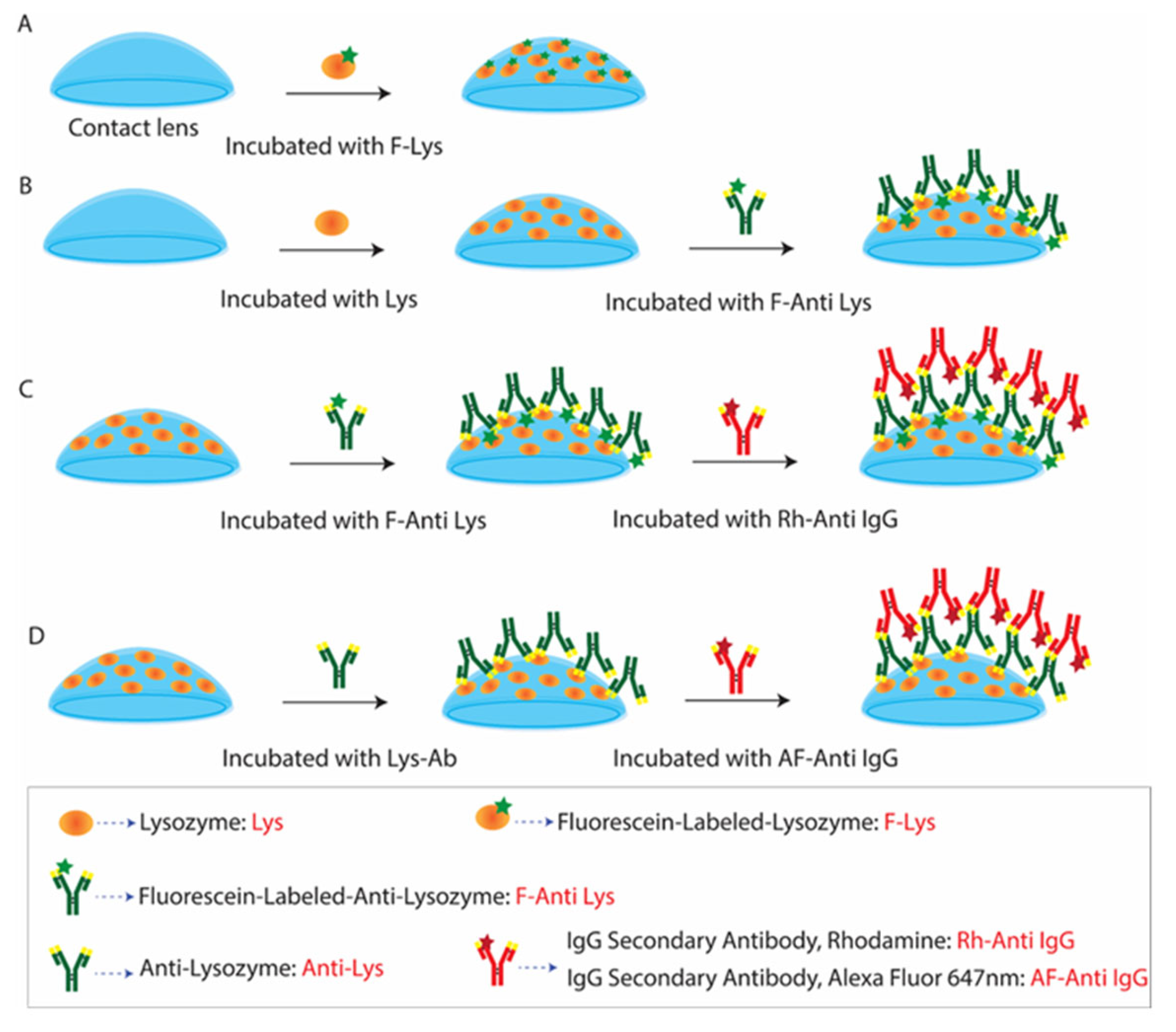 Preprints 155519 g004