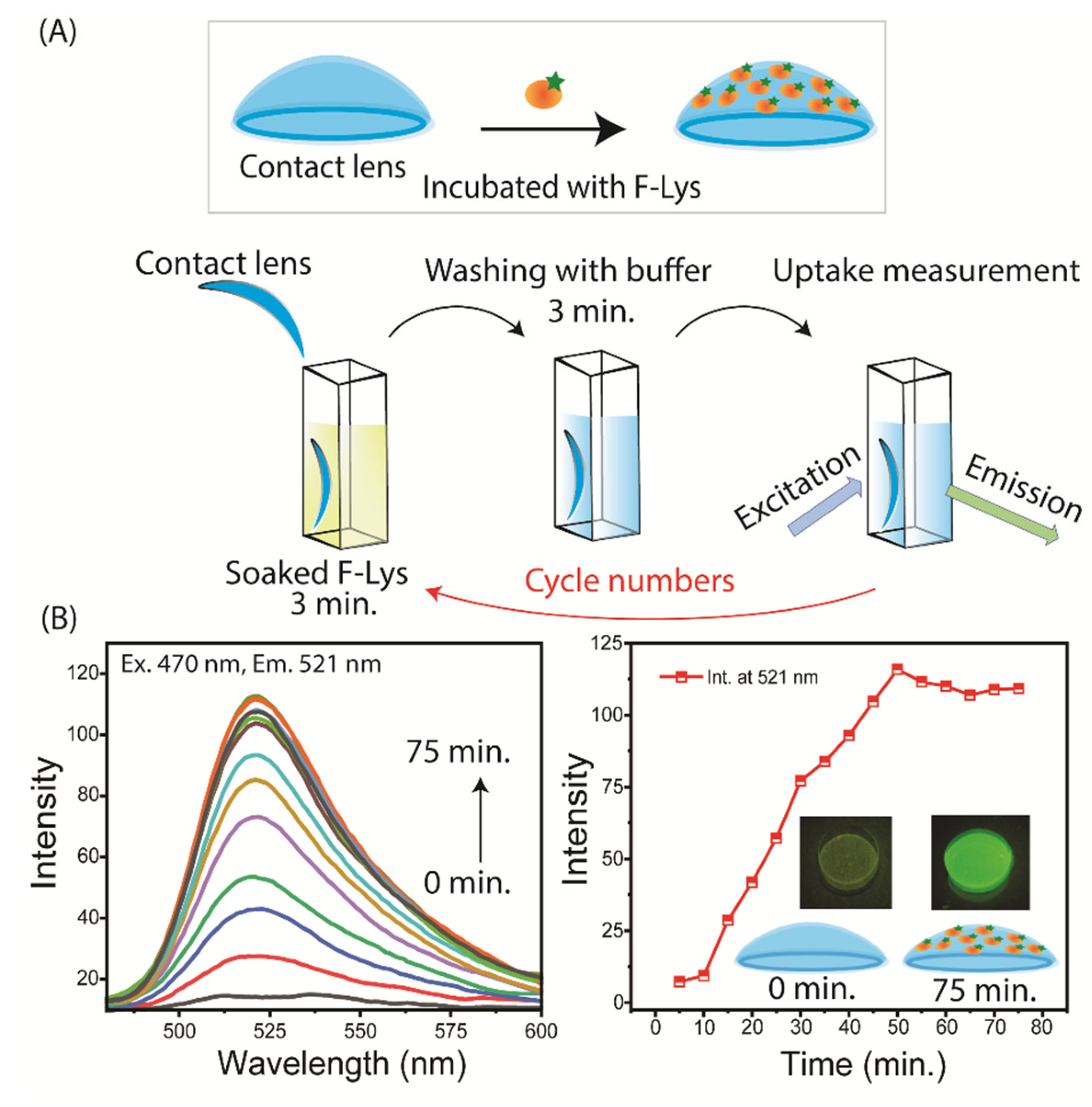 Preprints 155519 g005
