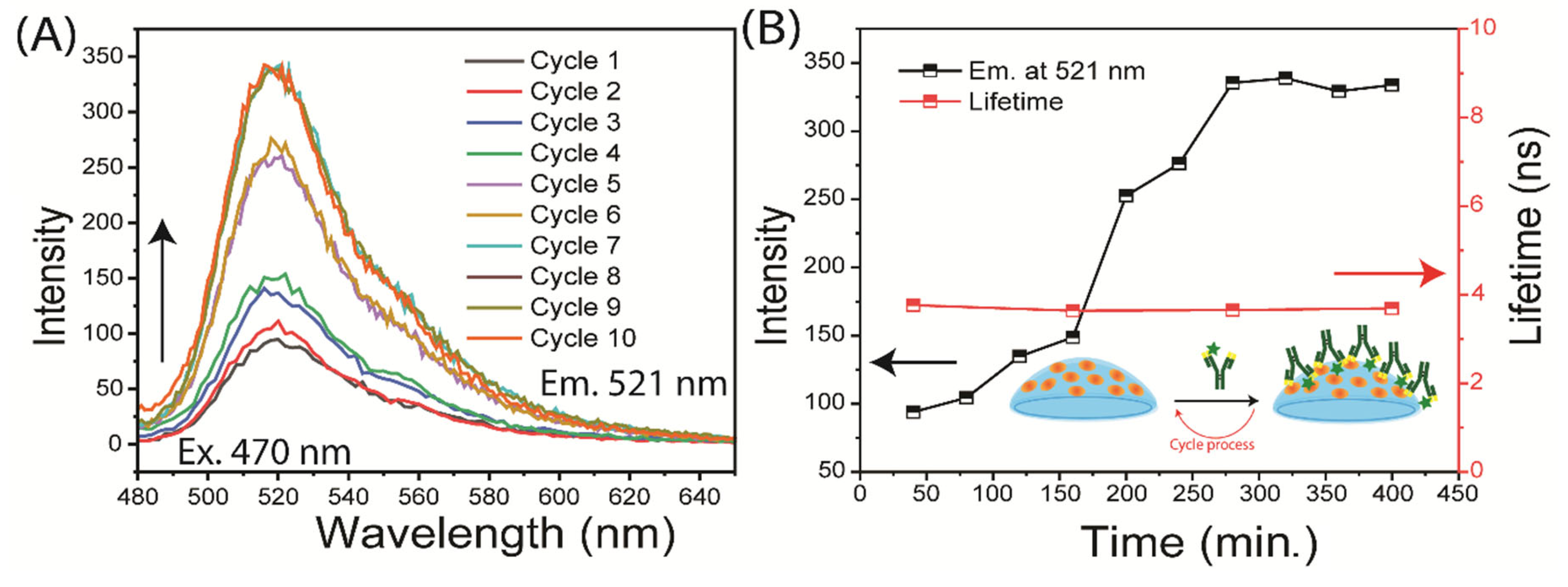 Preprints 155519 g007